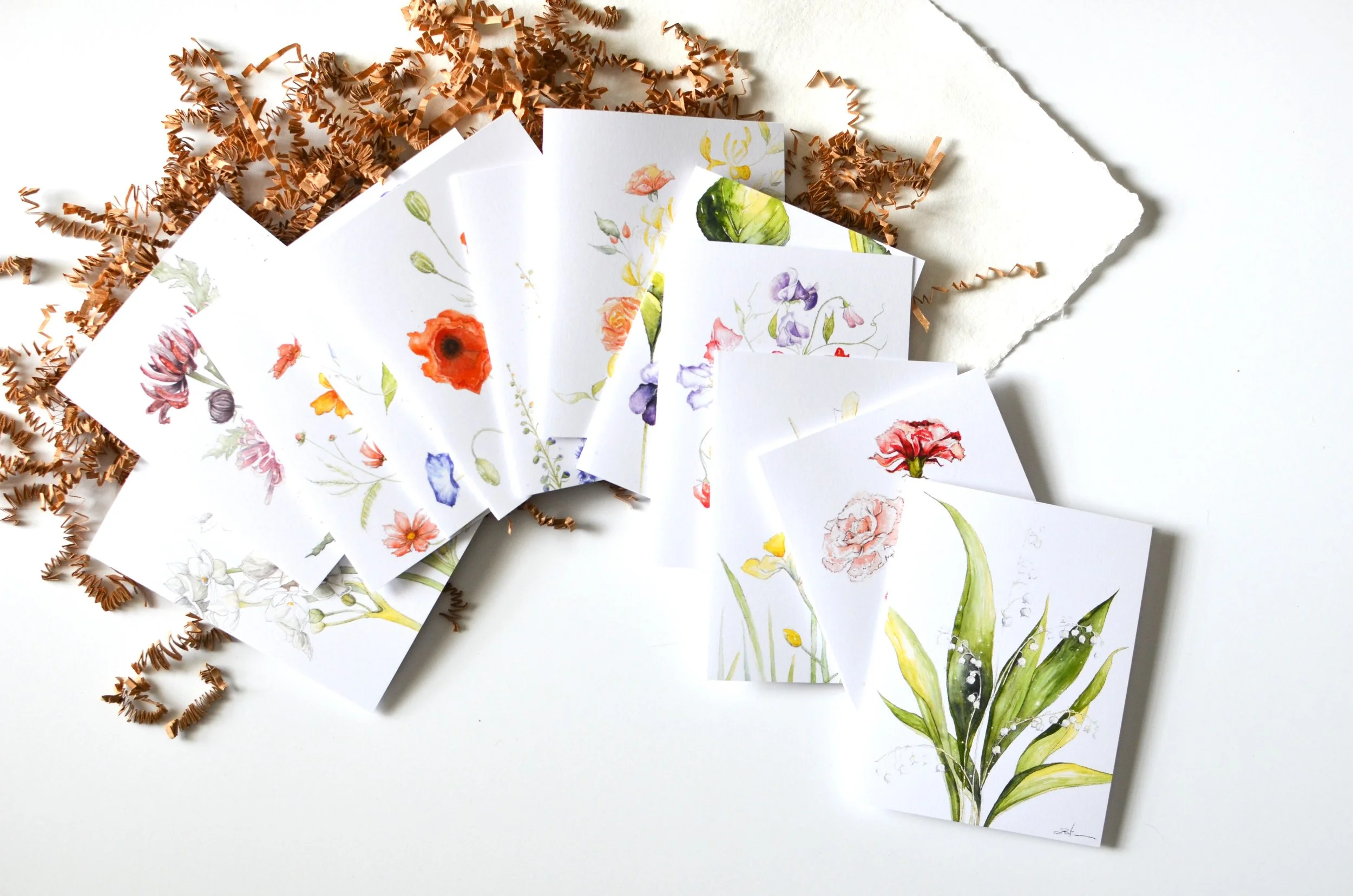 Botanical Card Set Bright.jpg