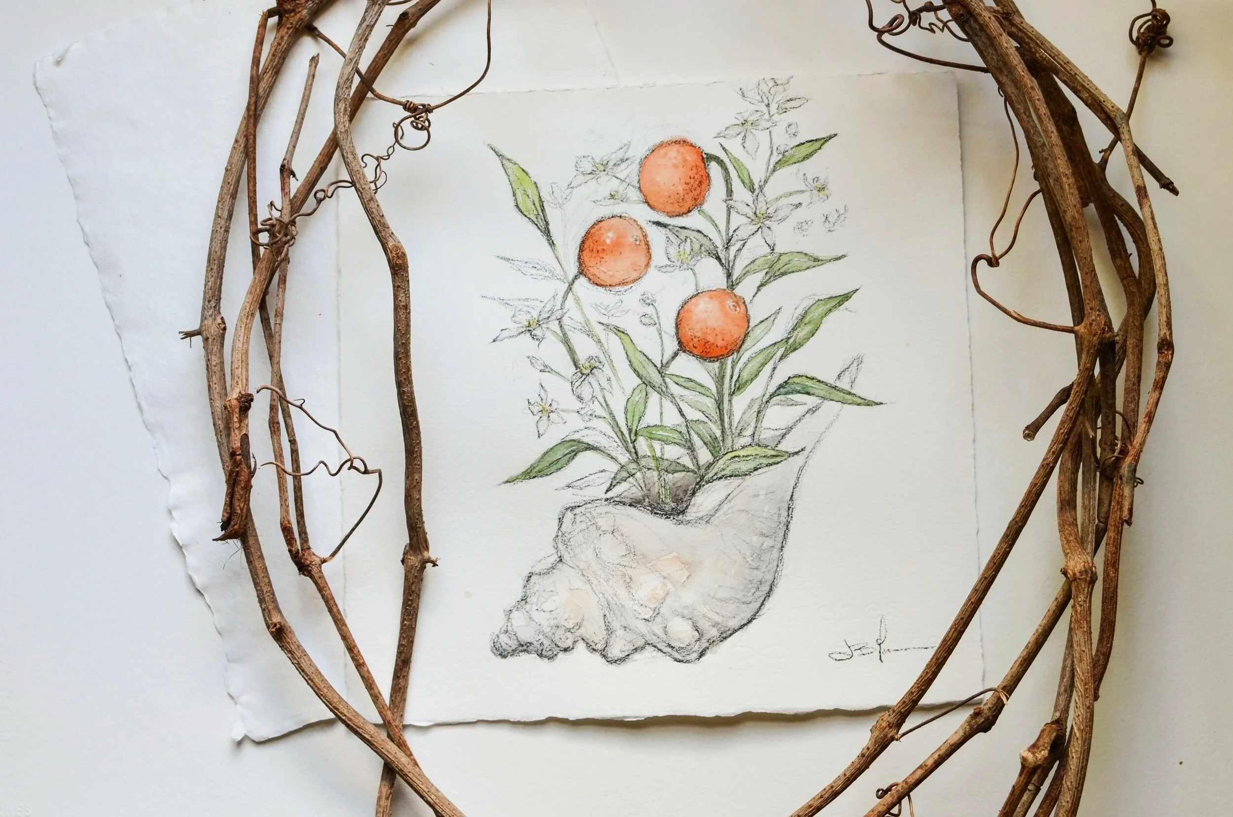 Cockel+and+Orange.jpg