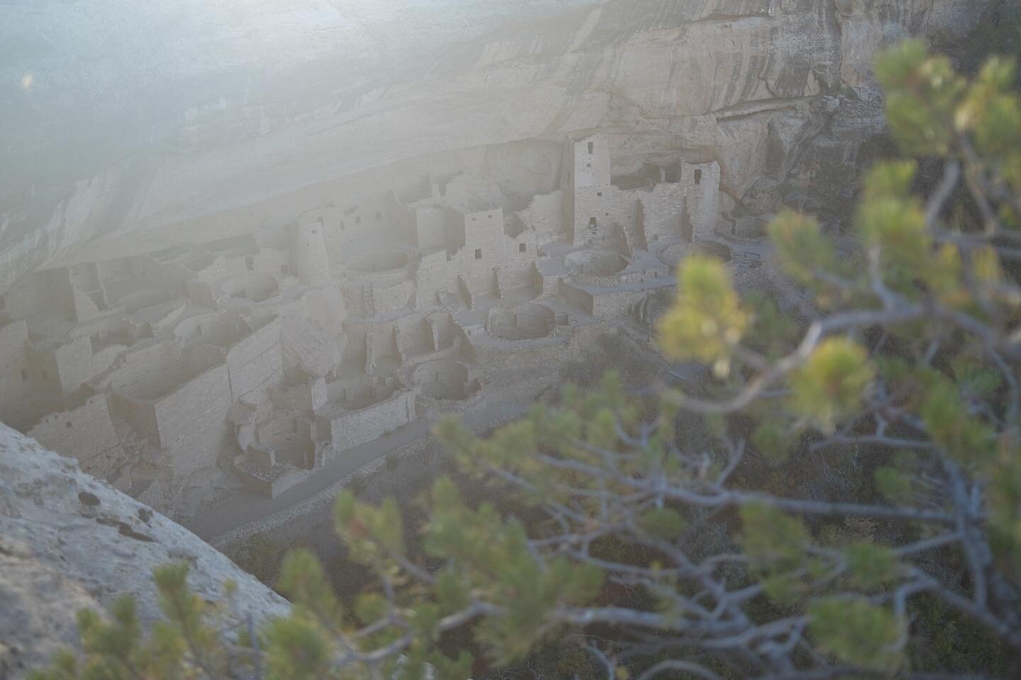 Cliff Palace at Mesa Verde National Park

#nature #explore #naturephotography #landscape #wanderlust #adventure #mountains #hiking #outdoors #landscapephotography #naturelover #outdoor #neverstopexploring #trekking #optoutside #roamtheplanet #hikinga