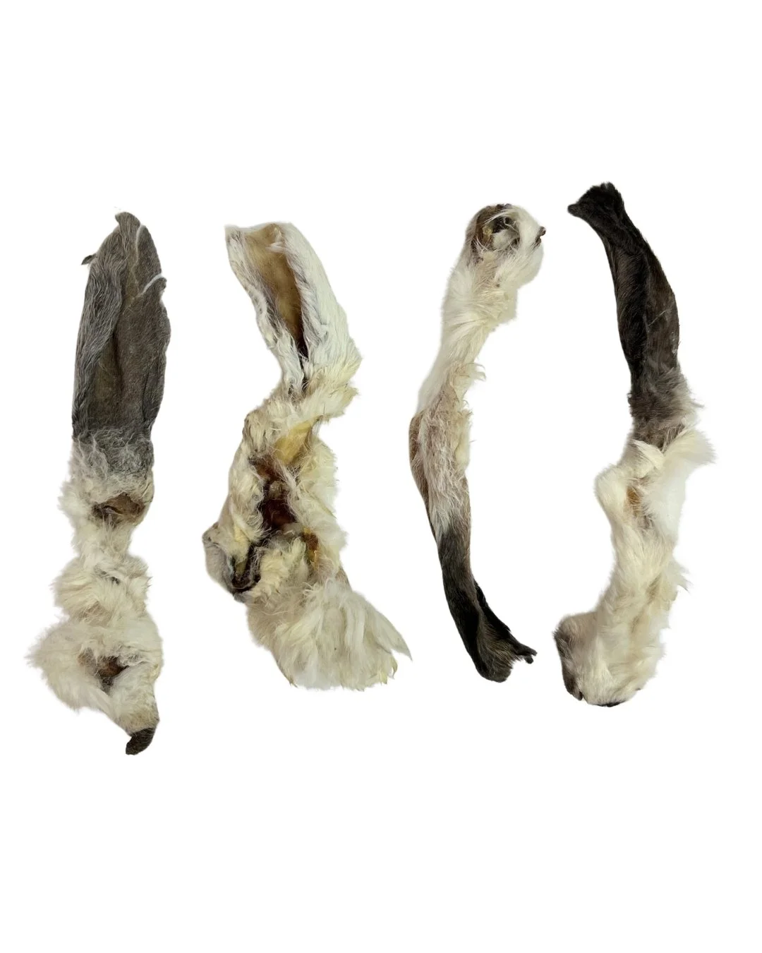 1kg-Hairy-Rabbit-Ears-2.jpg