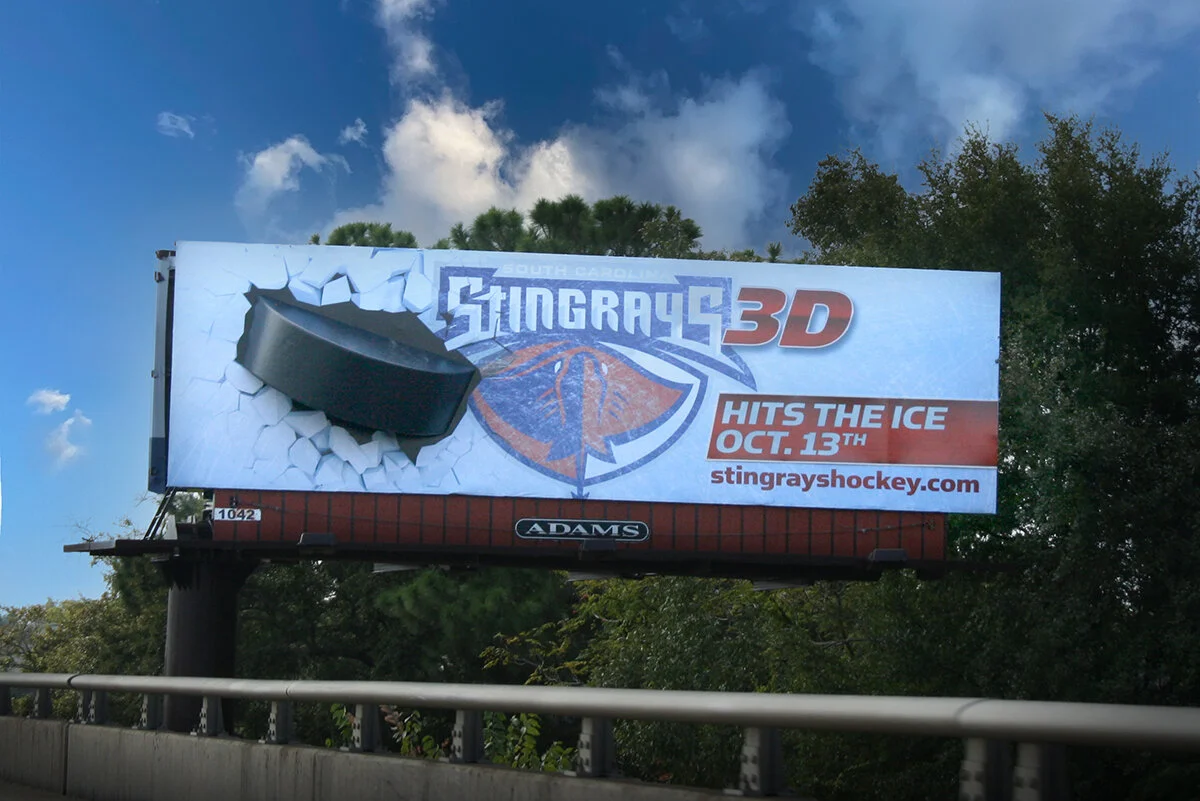 South-Carolina-Stingrays-hockey-puck-crash.jpg