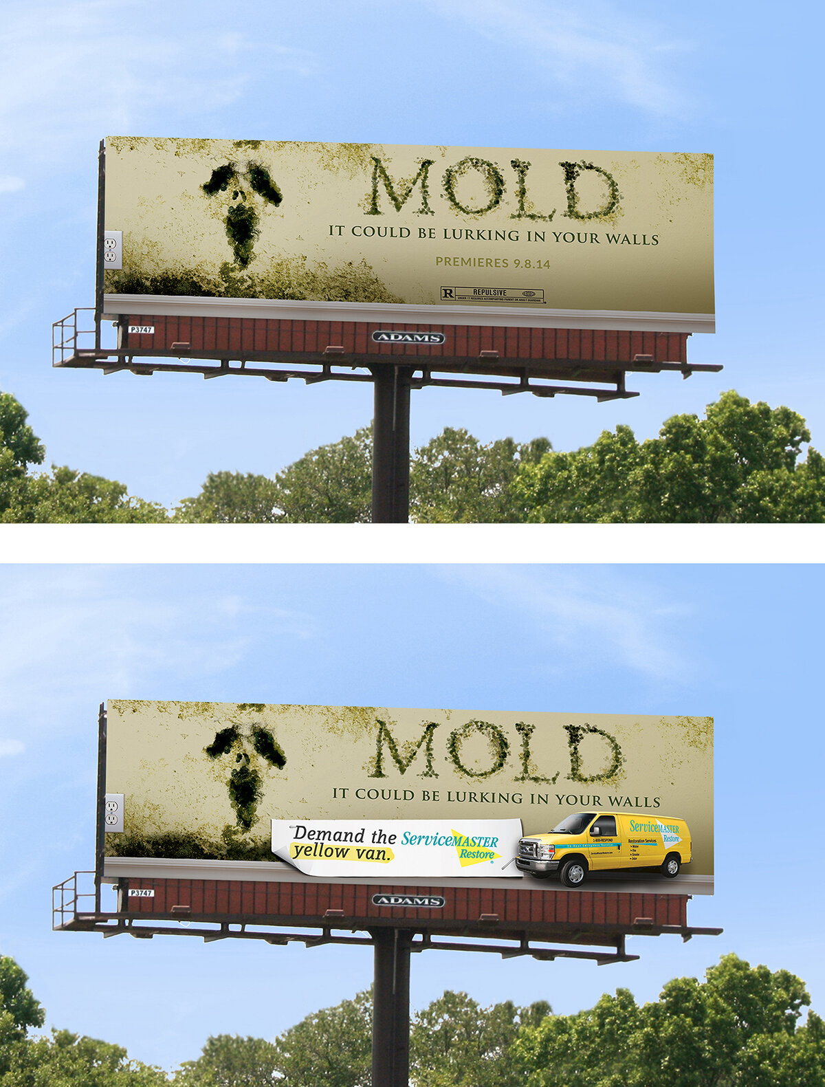 Servicemaster-mold-tease-reveal.jpg