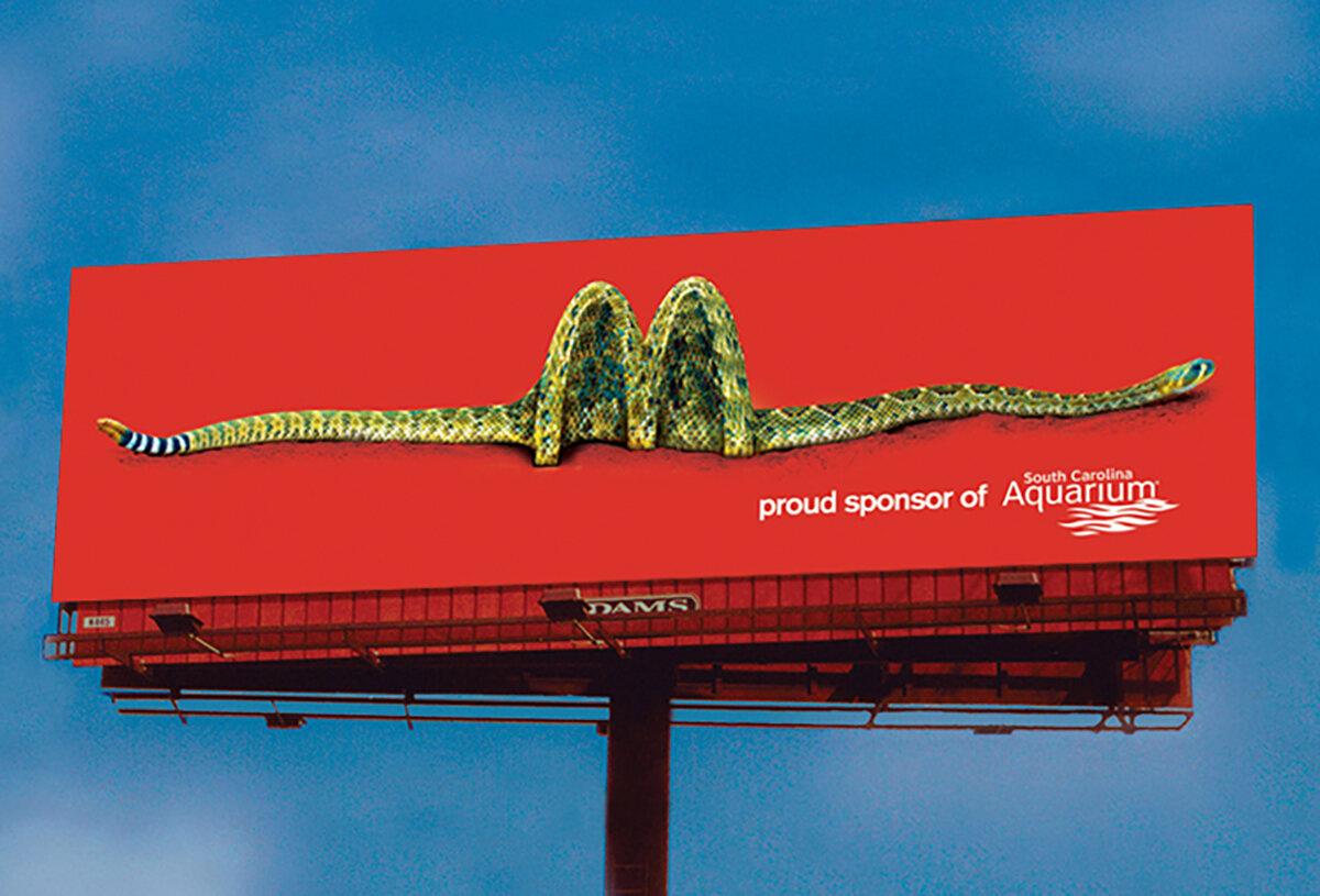 McDonalds-SC-Aquarium-snake.jpg