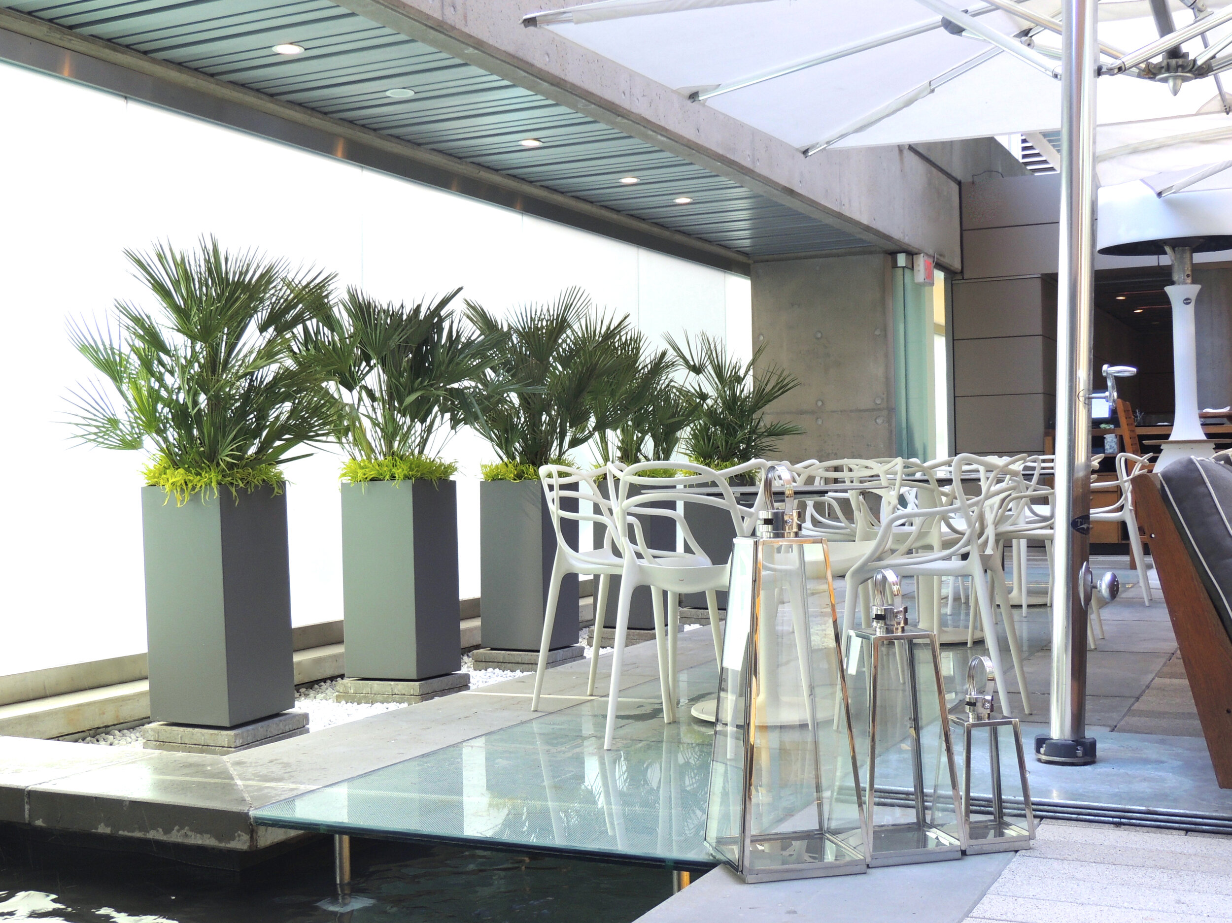 Large decorative pedestal with palms in a commercial eating area