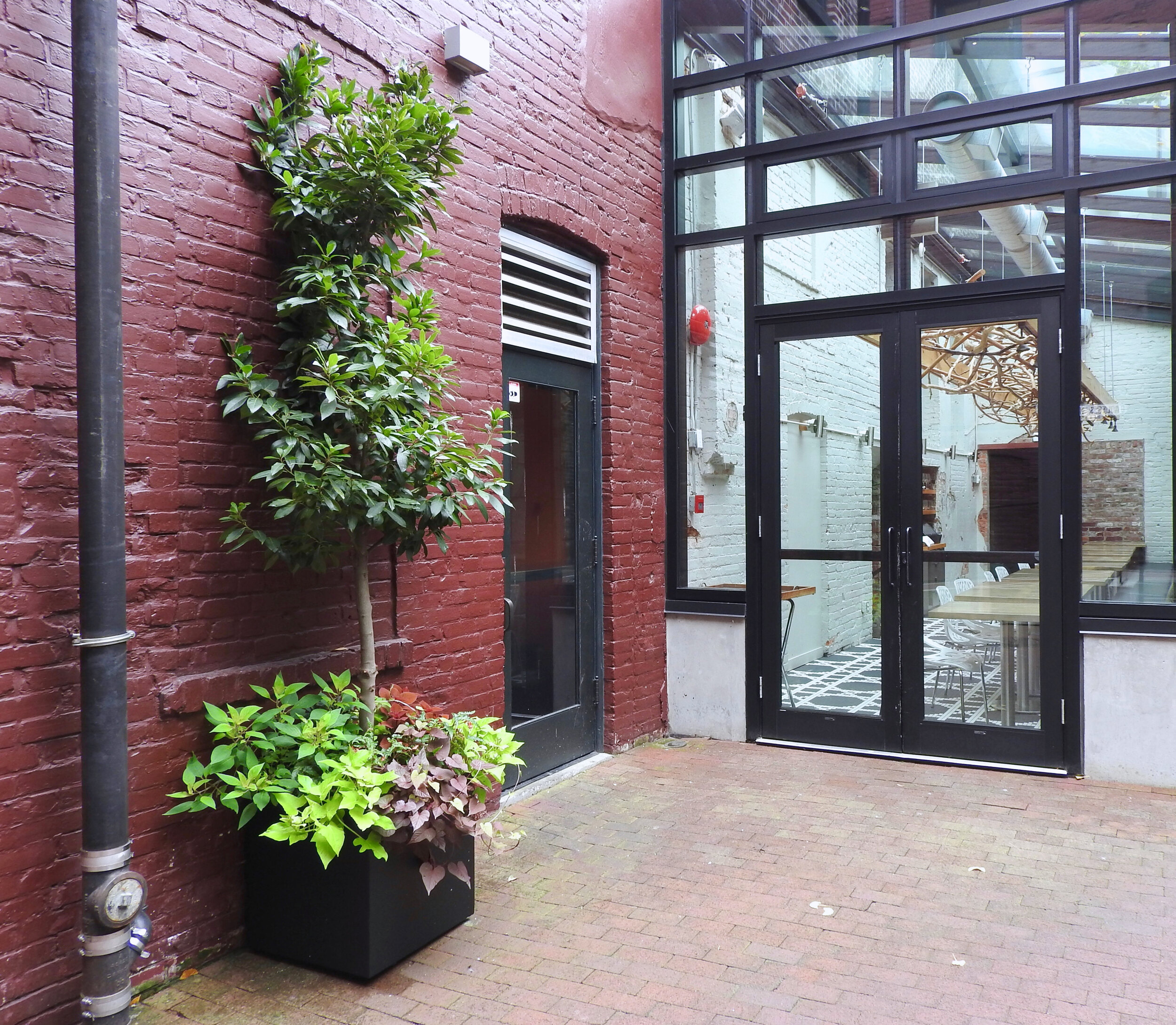 Powder-coated aluminum cube planter outside a commercial space with brick wall