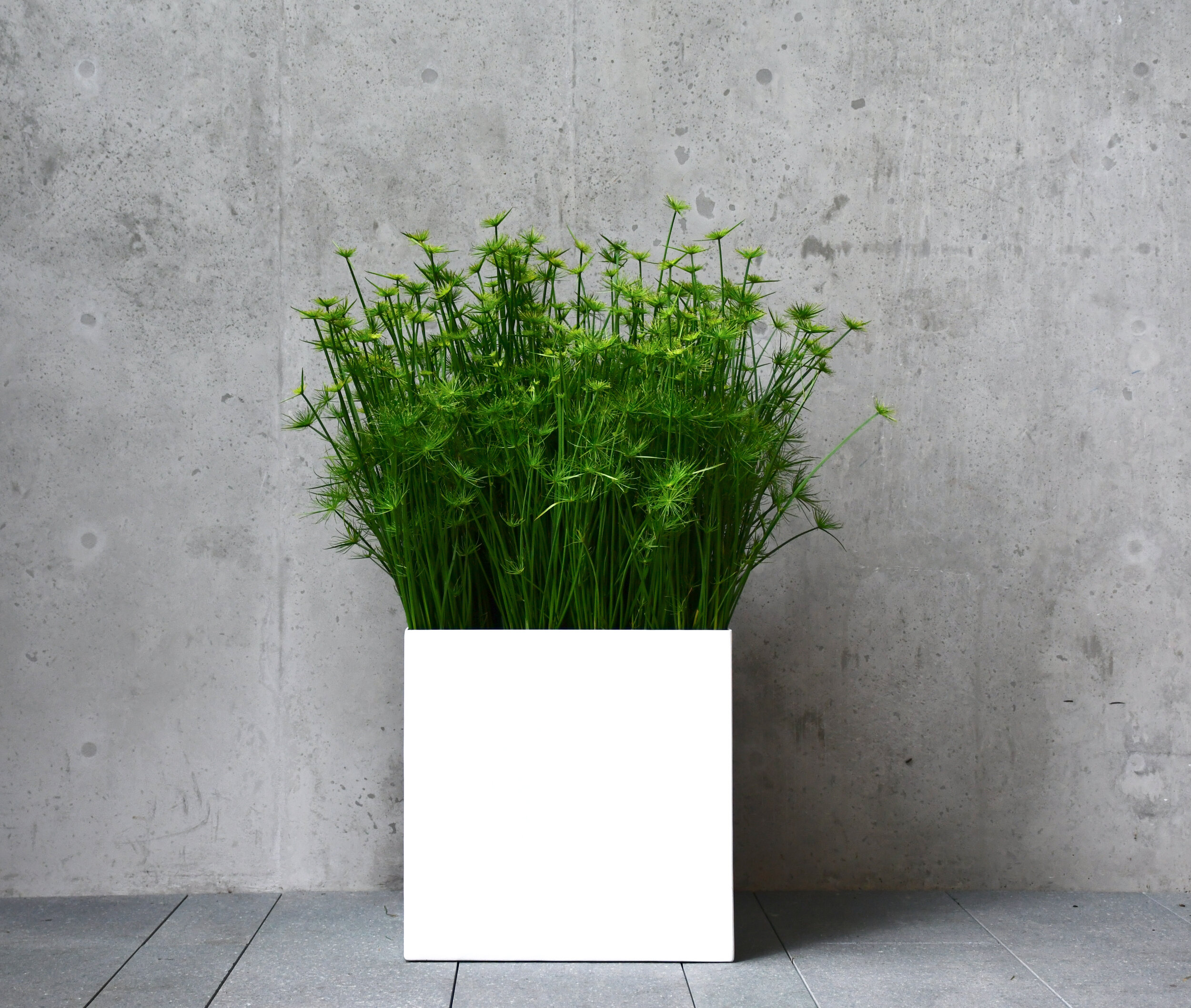 Powder-coated aluminum cube planter in white 