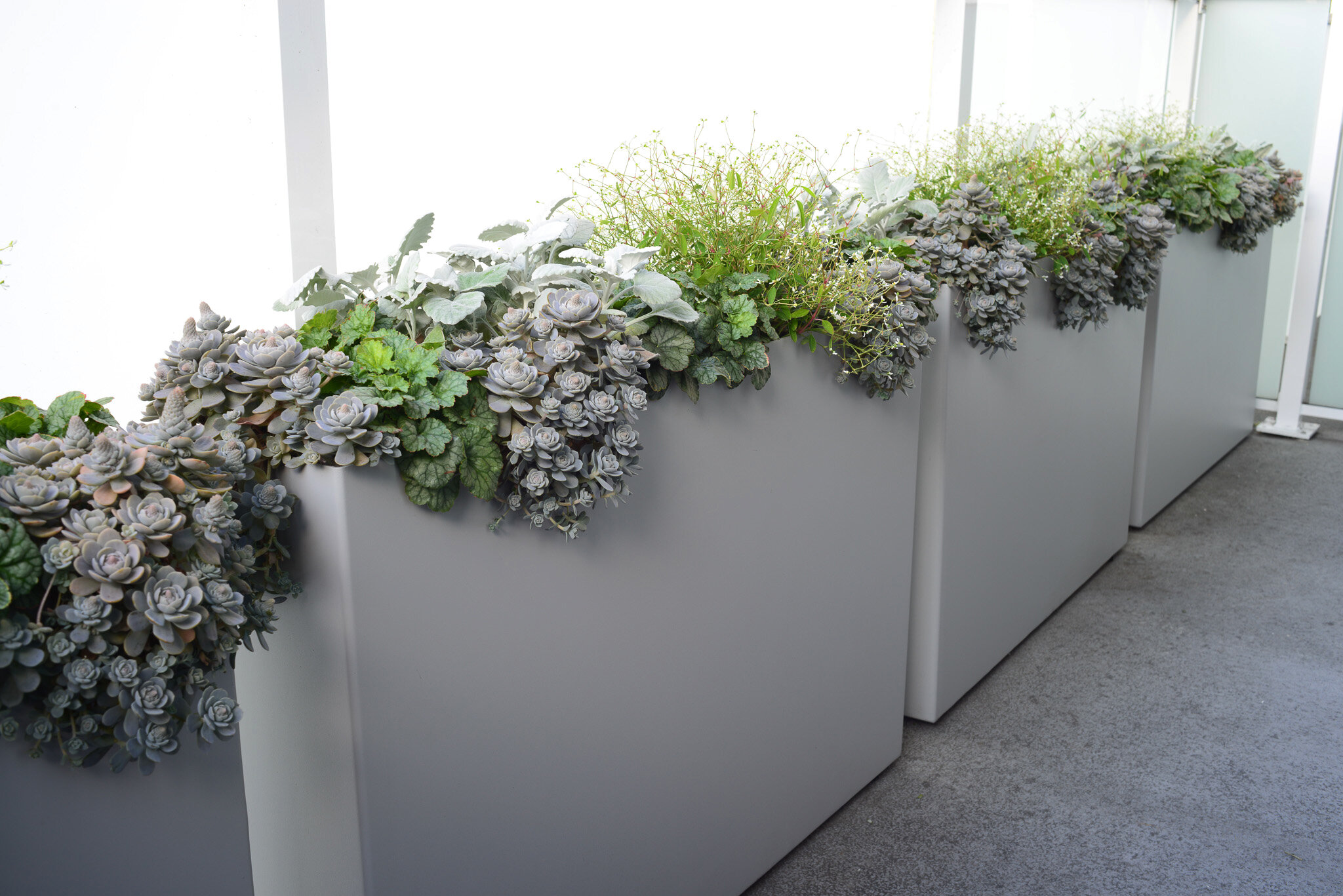 Row of light grey partitions aluminum planters separating two spaces