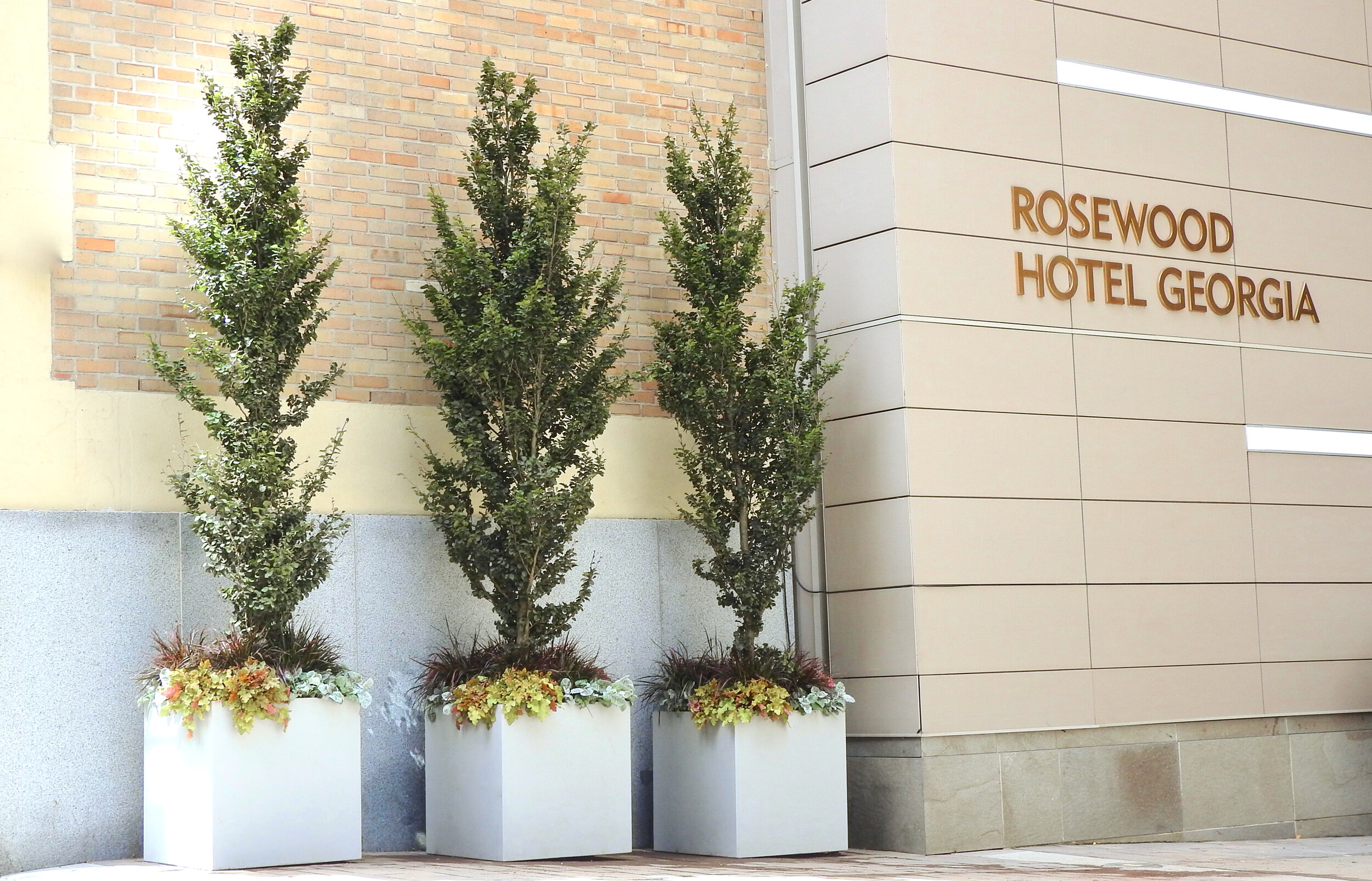 Three decorative aluminum cube planters outside the hotel Rosewood in Vancouver 