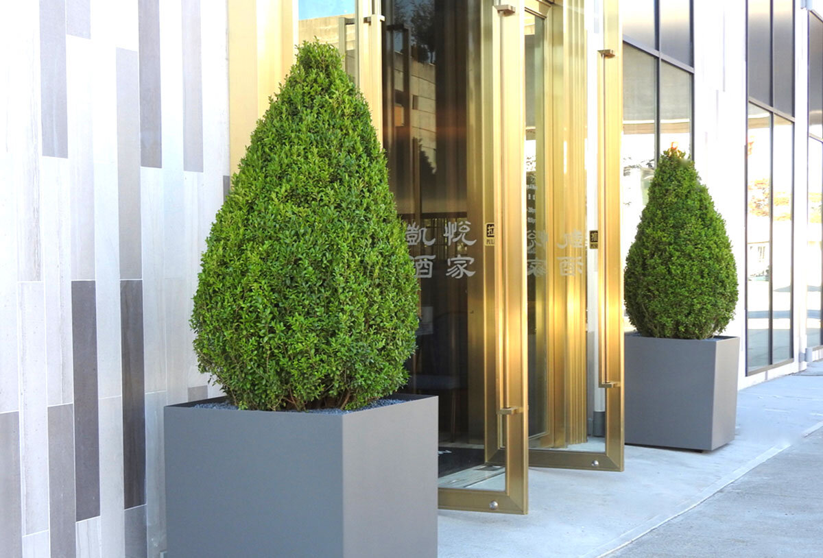 Elegant light grey cube aluminum planters outside a hotel entrance