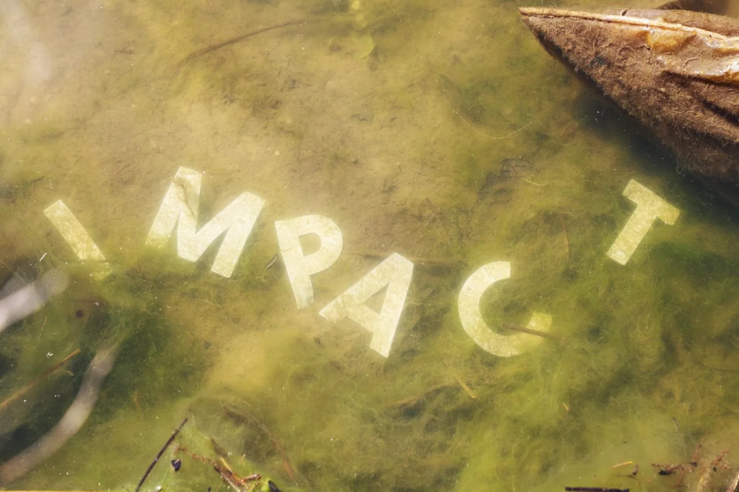 @justdo_good shot this photo series a few years ago, using cut-out letters to spell &quot;impact&quot; in the water, highlighting the pollution in the natural space.

&quot;Everything we do leaves a mark. Some of those marks we don't even notice. But