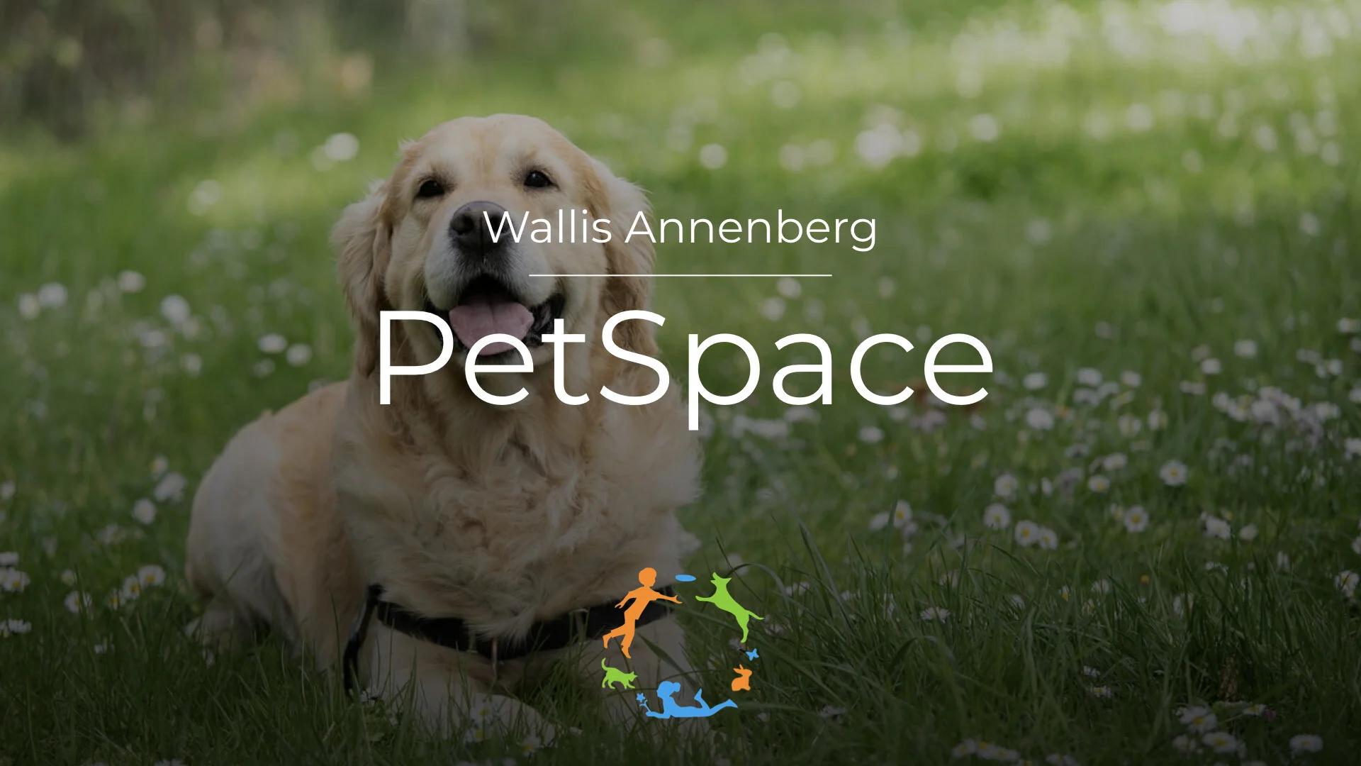 Reflection Blogs - Blog Logooooo.001.jpeg