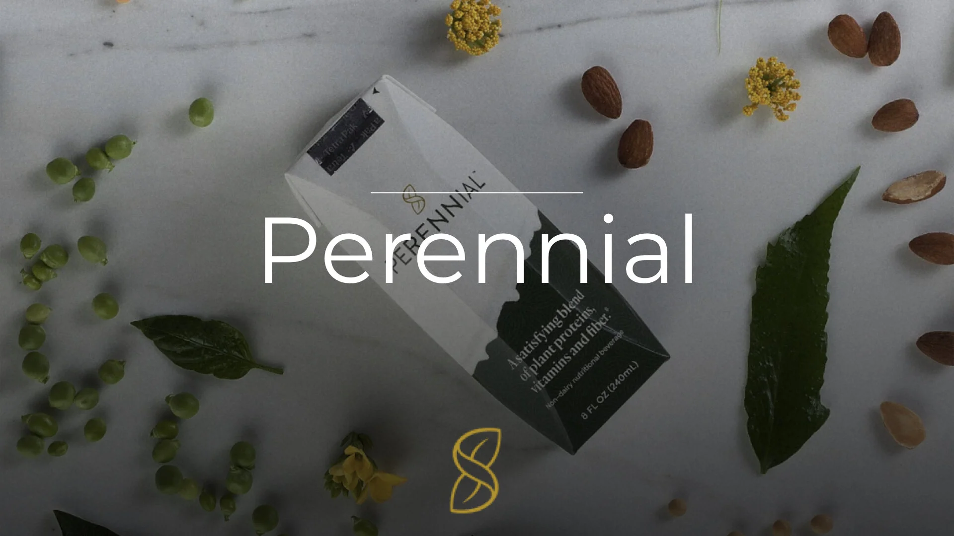 Reflection Blogs - Blog Logooooo.002.jpeg