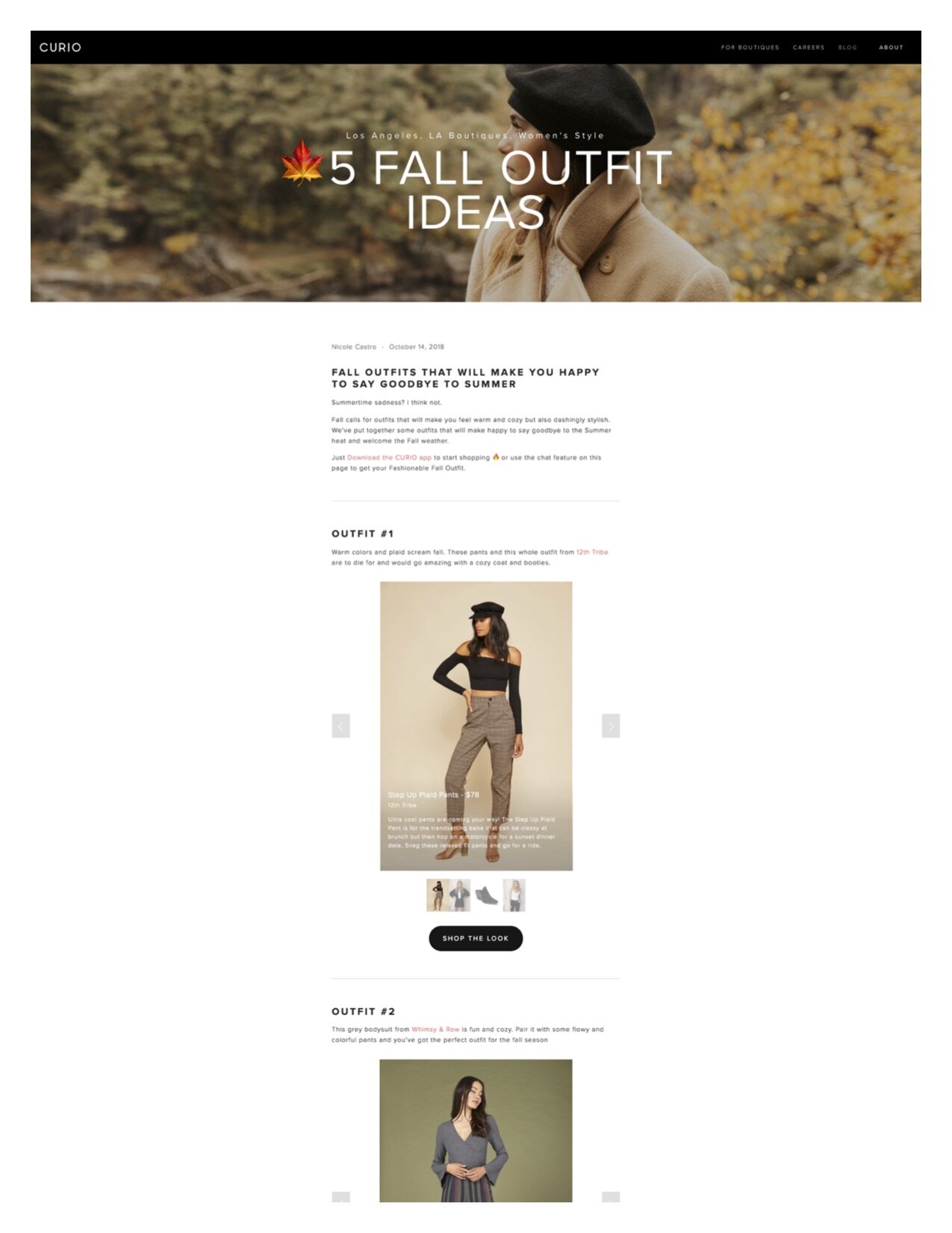 CURIO Fall Fashion Blog.jpg