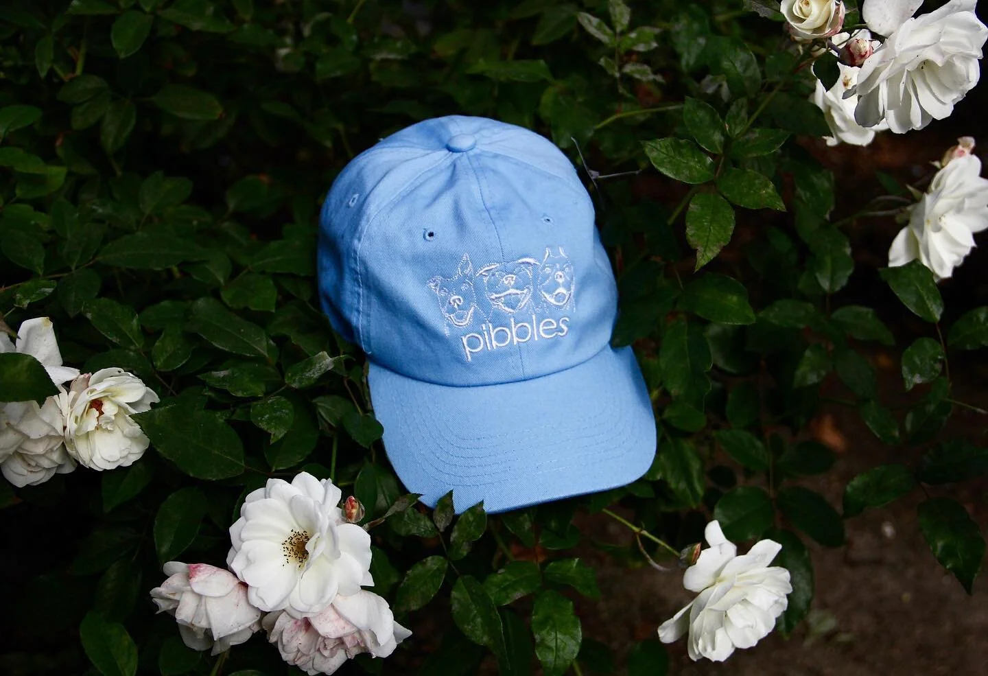 The moment you have all been waiting for... Introducing Pibble Caps!! 🐶🐾
&bull;
Behind the design: not a lot of people know that &ldquo;pit bull&rdquo; is not a breed and yet there&rsquo;s so many negative connotations attached to it 😔 To change t