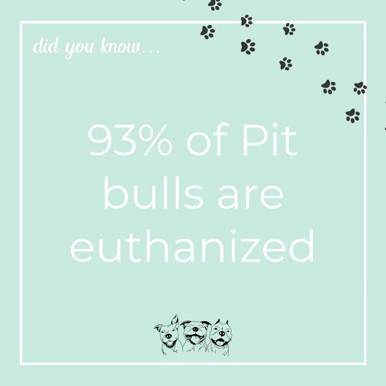 Once you&rsquo;ve seen it, you can&rsquo;t unsee it 😢 💔
&bull;
A study by the Animal People Organization reported a 93% euthanasia rate for pit bulls 😱 That. Is. Ridiculous.
&bull;
We created the Pibble Movement on the belief that we can help thes