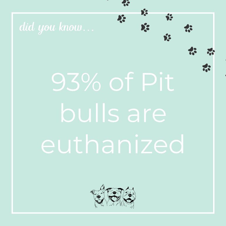 Once you&rsquo;ve seen it, you can&rsquo;t unsee it 😢 💔
&bull;
A study by the Animal People Organization reported a 93% euthanasia rate for pit bulls 😱 That. Is. Ridiculous.
&bull;
We created the Pibble Movement on the belief that we can help thes