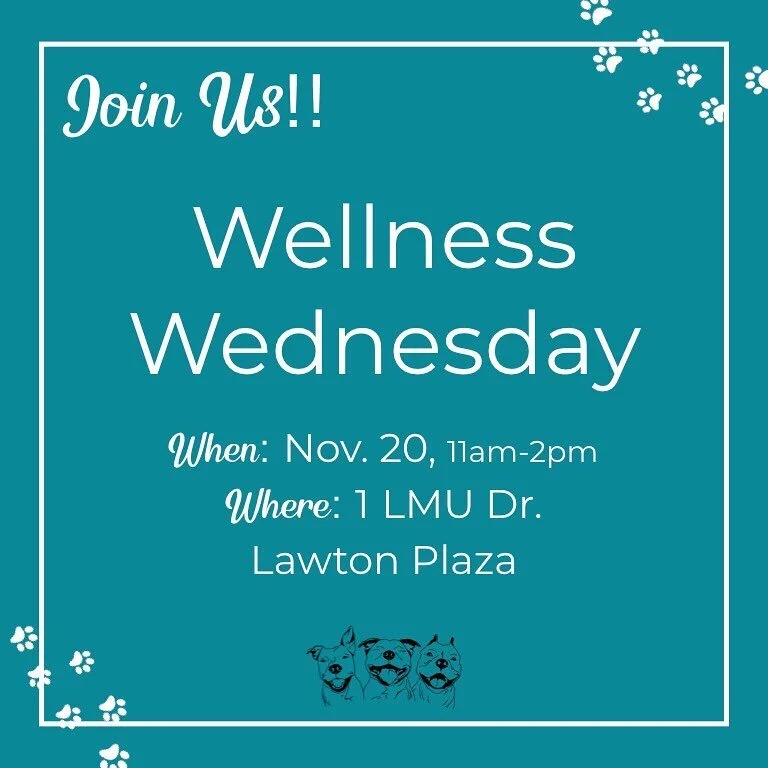Join us again tomorrow at Wellness Wednesday🥰 11-20-19

Learn more about Pibbles and support our cause by buying a Pibble Cap or donating. All proceeds go to @angelcitypits 
If you can&rsquo;t make it but wanna buy a cap, DM us! 
See you there and s