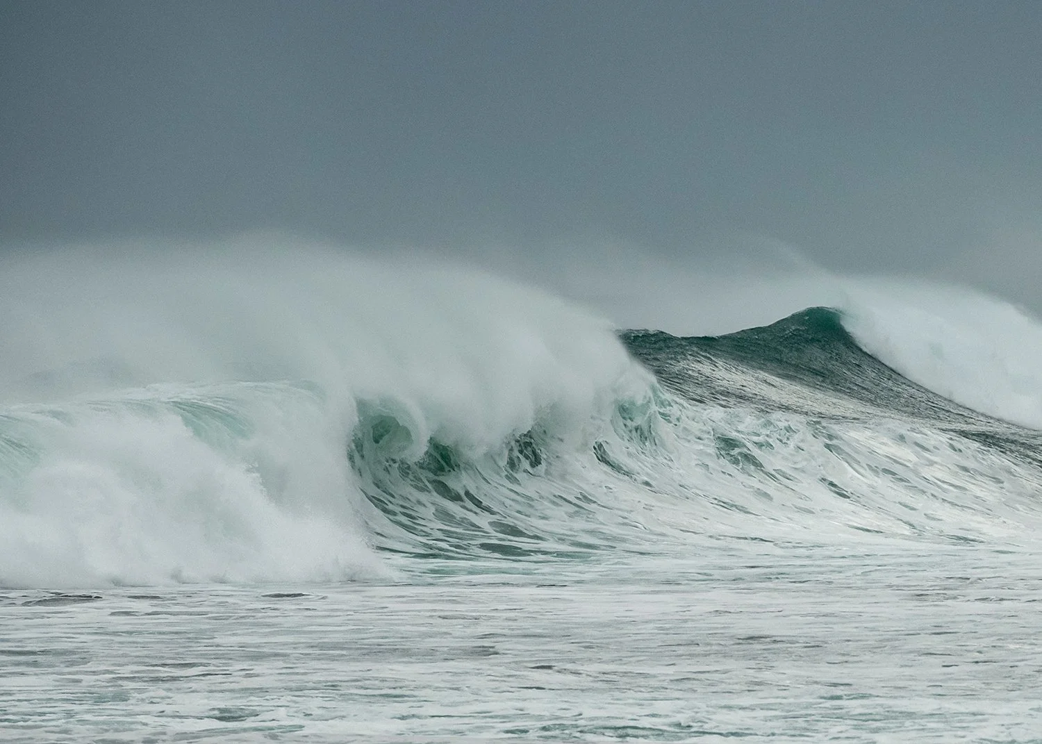 © Judy Stokes 1.jpeg