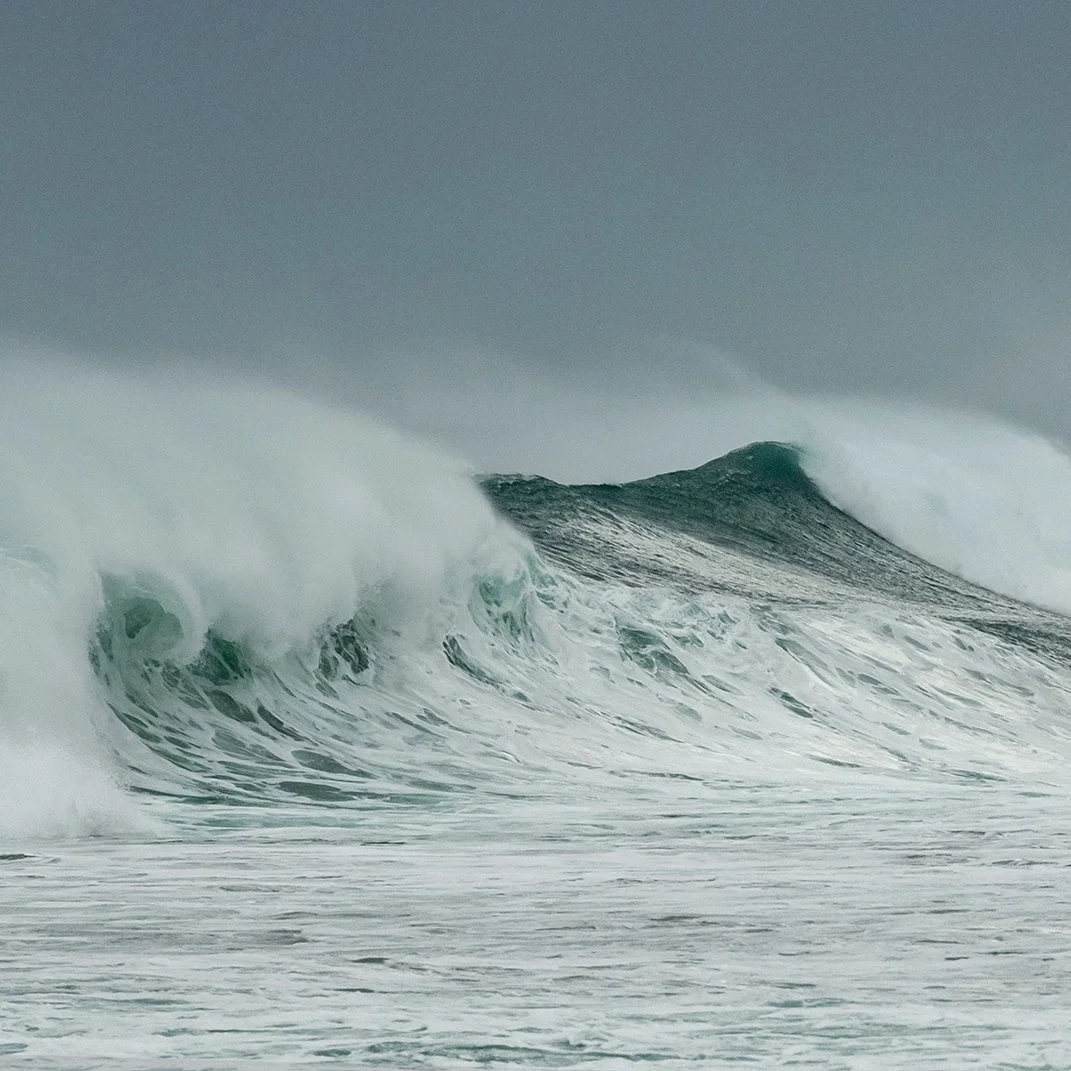 © Judy Stokes 1.jpg