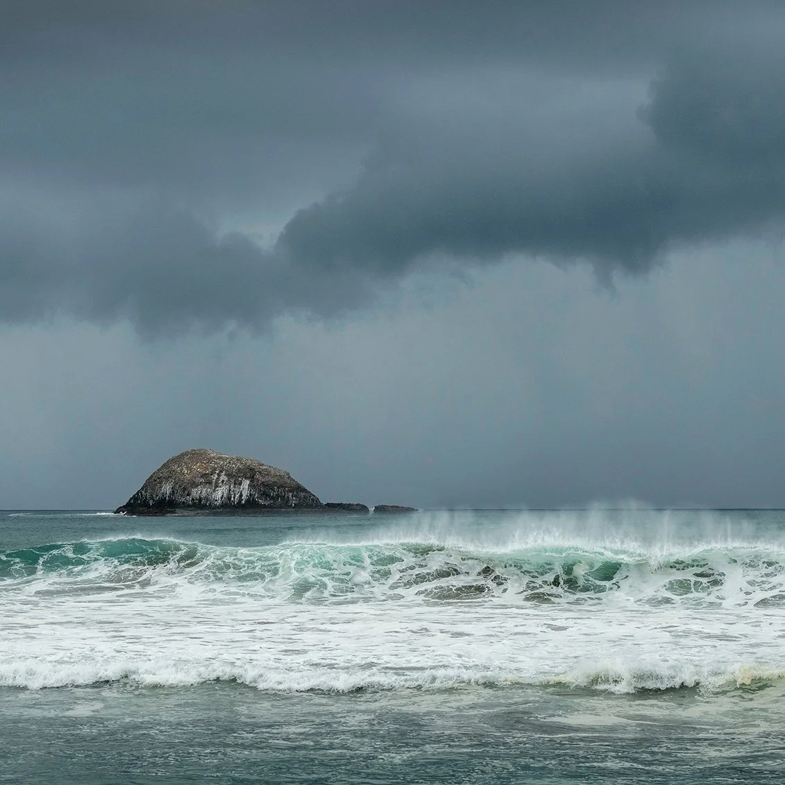 © Judy Stokes 2.jpg