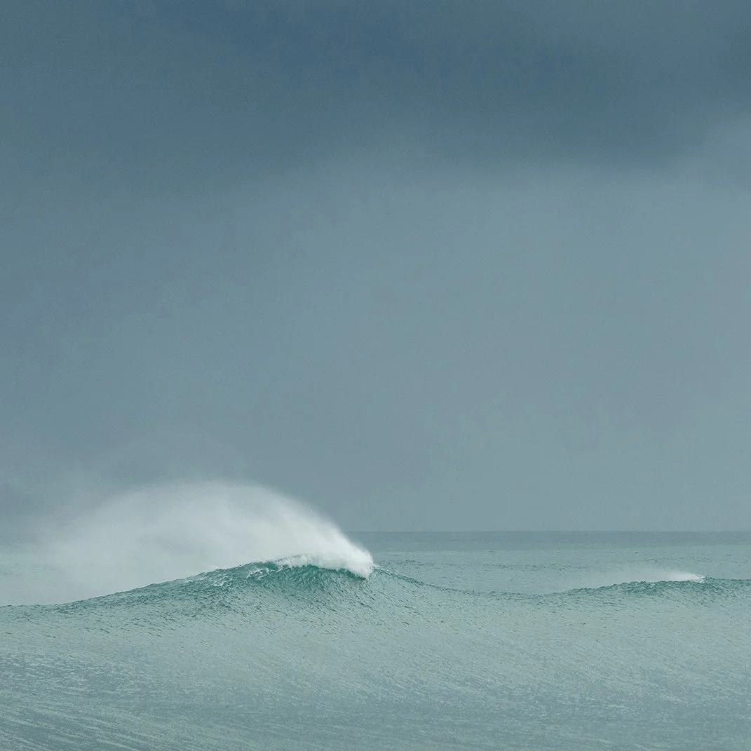 © Judy Stokes 3.jpg