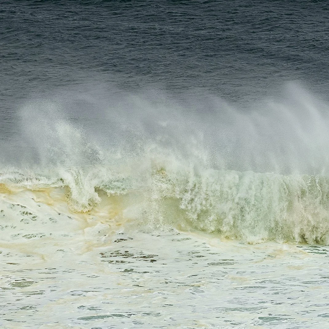 © Judy Stokes 4.jpg