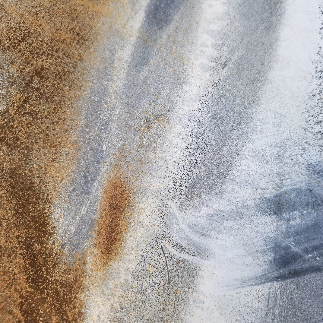 © Judy Stokes 6 (2).jpg