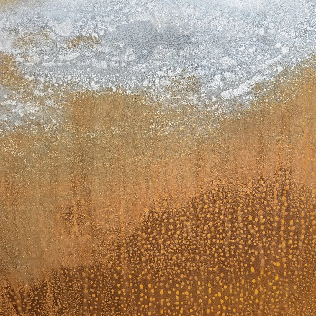 © Judy Stokes 5.jpg