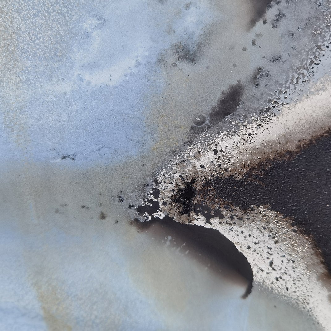 © Judy Stokes 8.jpg