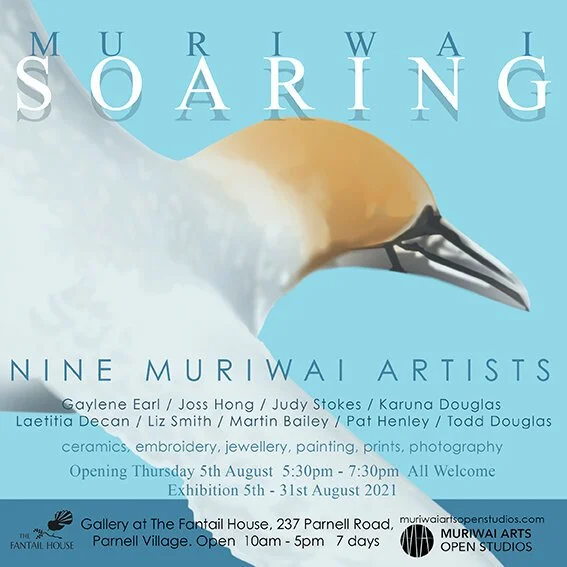 Muriwai Soaring (Parnell) Exhibition