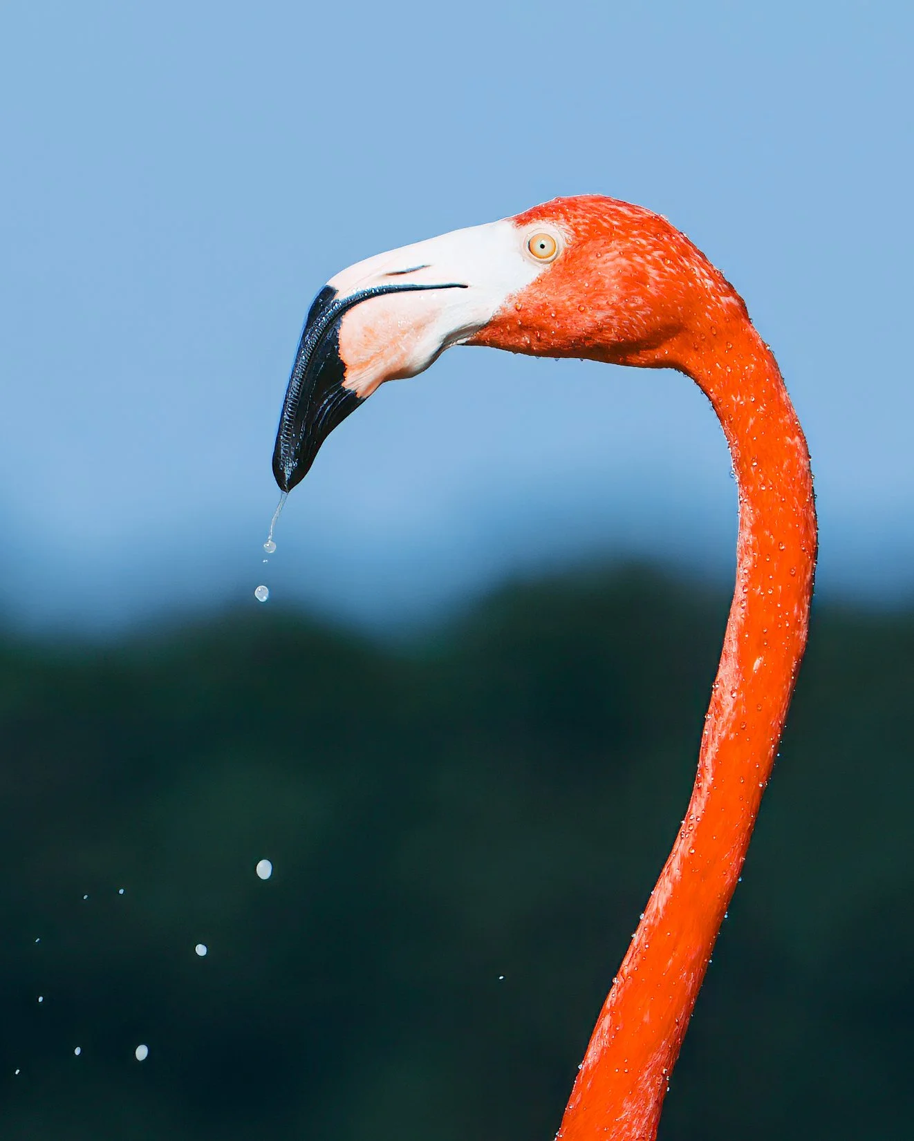 8x10-SKM02784-Edit.jpg