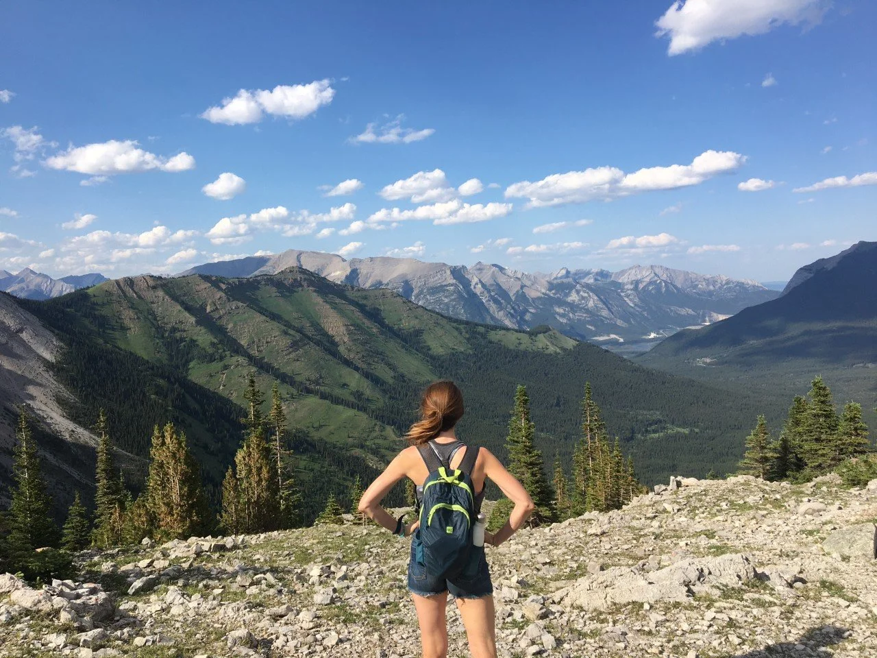 Phenomenal Coping Skills