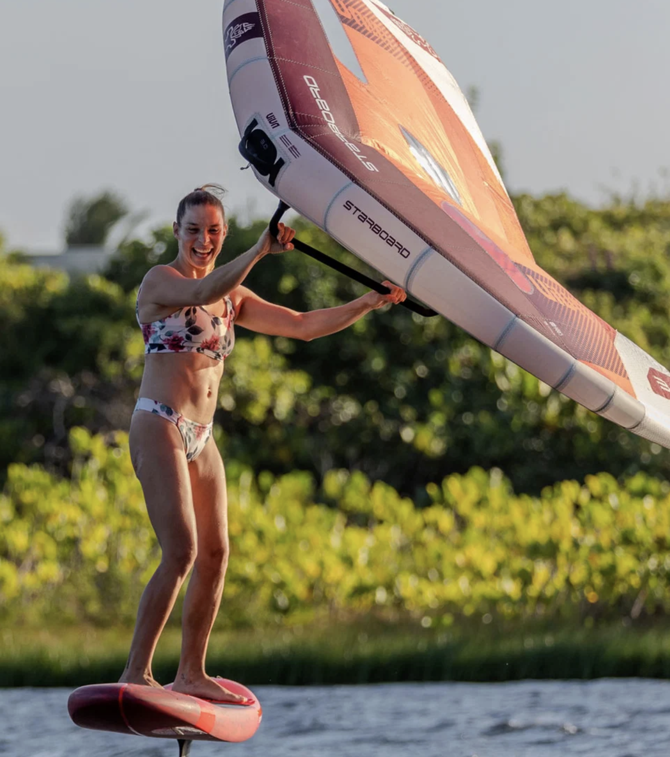 Starboard Viva Wing at Bigsurf Shop 3.png
