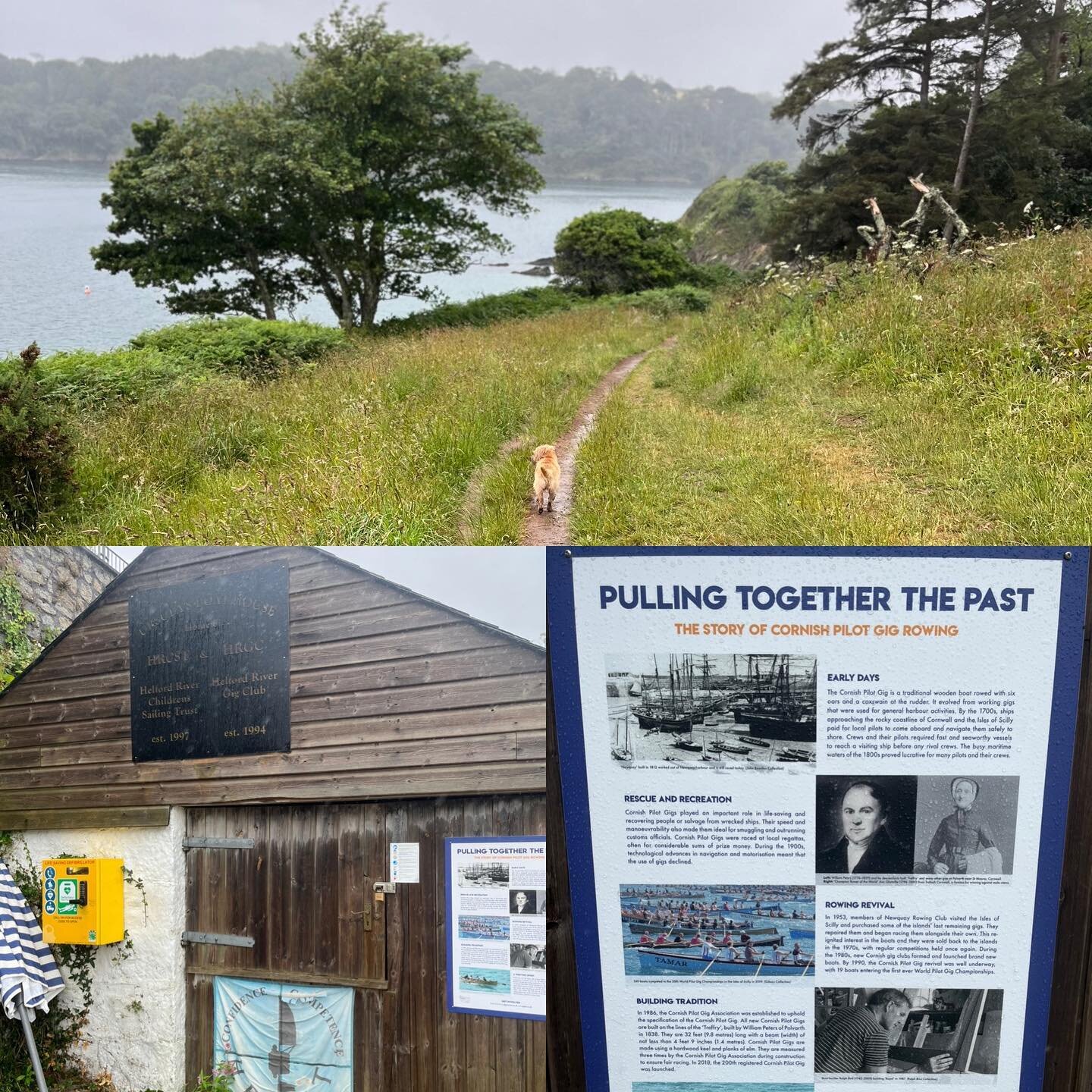 Site visits River Ex, Fal, Helford and Solva Harbour #exmouth #falmouth #pembrokeshire