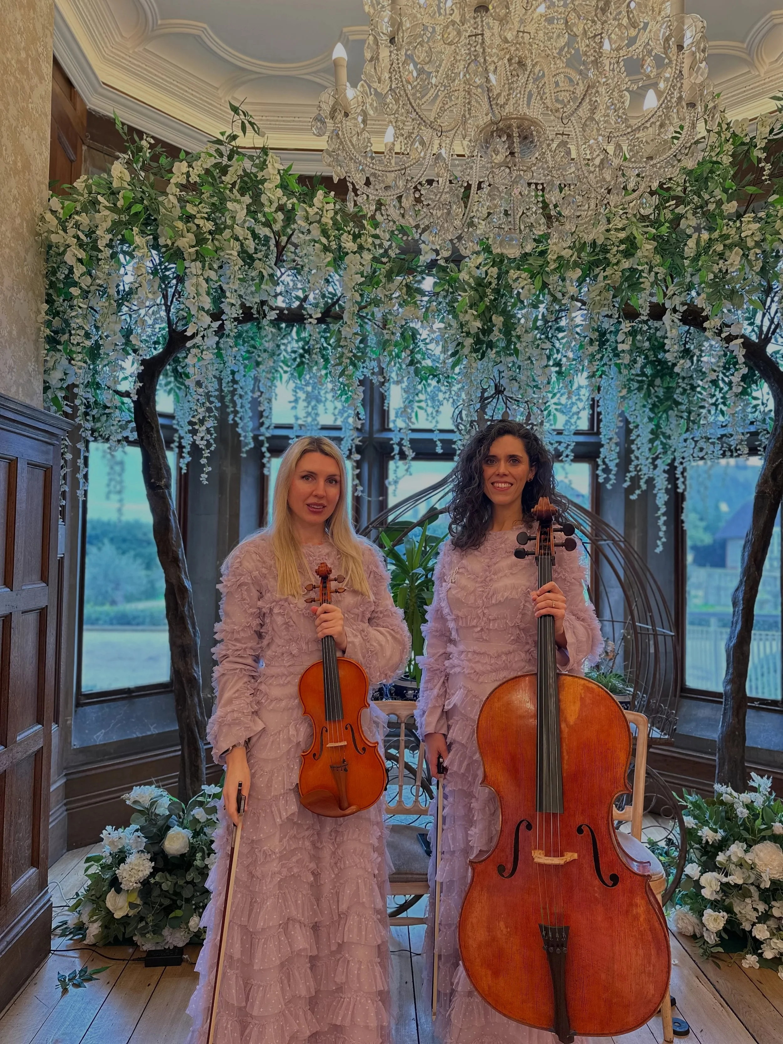 Bridgerton afternoon tea at Froyle Park 

@froyleparkcountryestate 

#stringduo #bridgerton #froylepark #halostrings #bridgertonevent