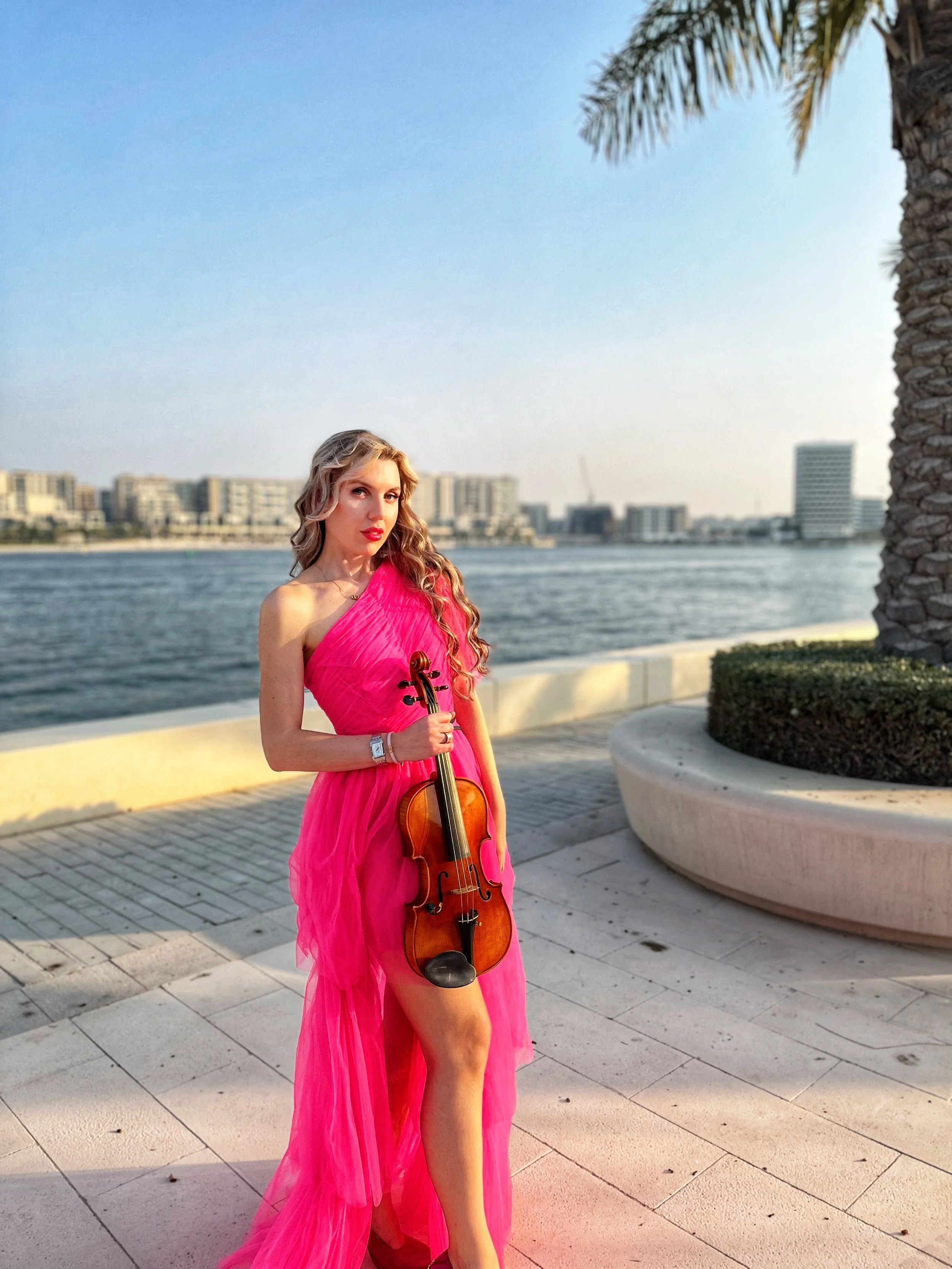 Violinist .JPG