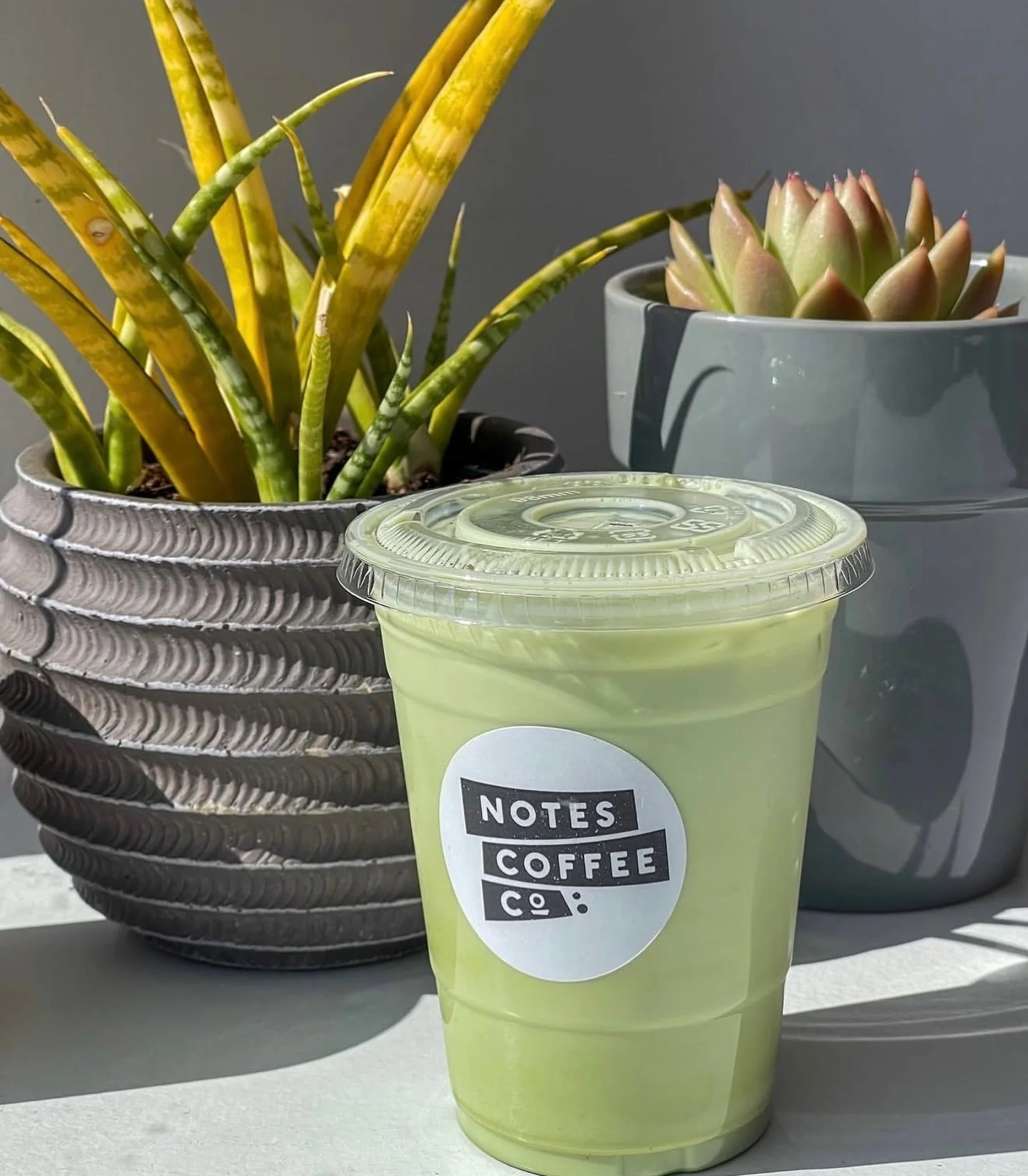 Happy Wednesday! Want some good news? Our matcha is back 🤩 Come try a matcha latte as is or add lavender syrup, yum!