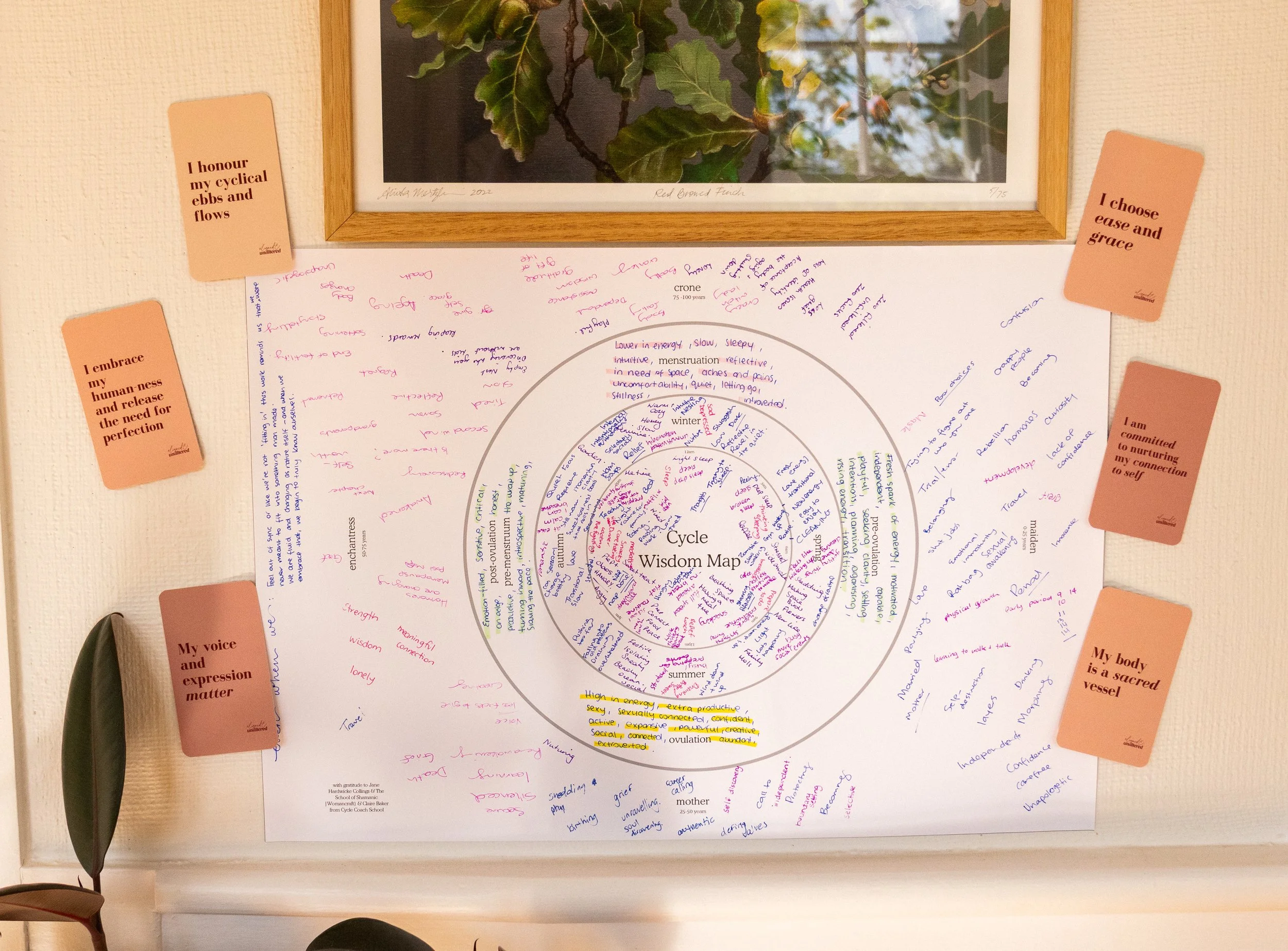 Womb Wisdom Retreat group cycle wisdom map