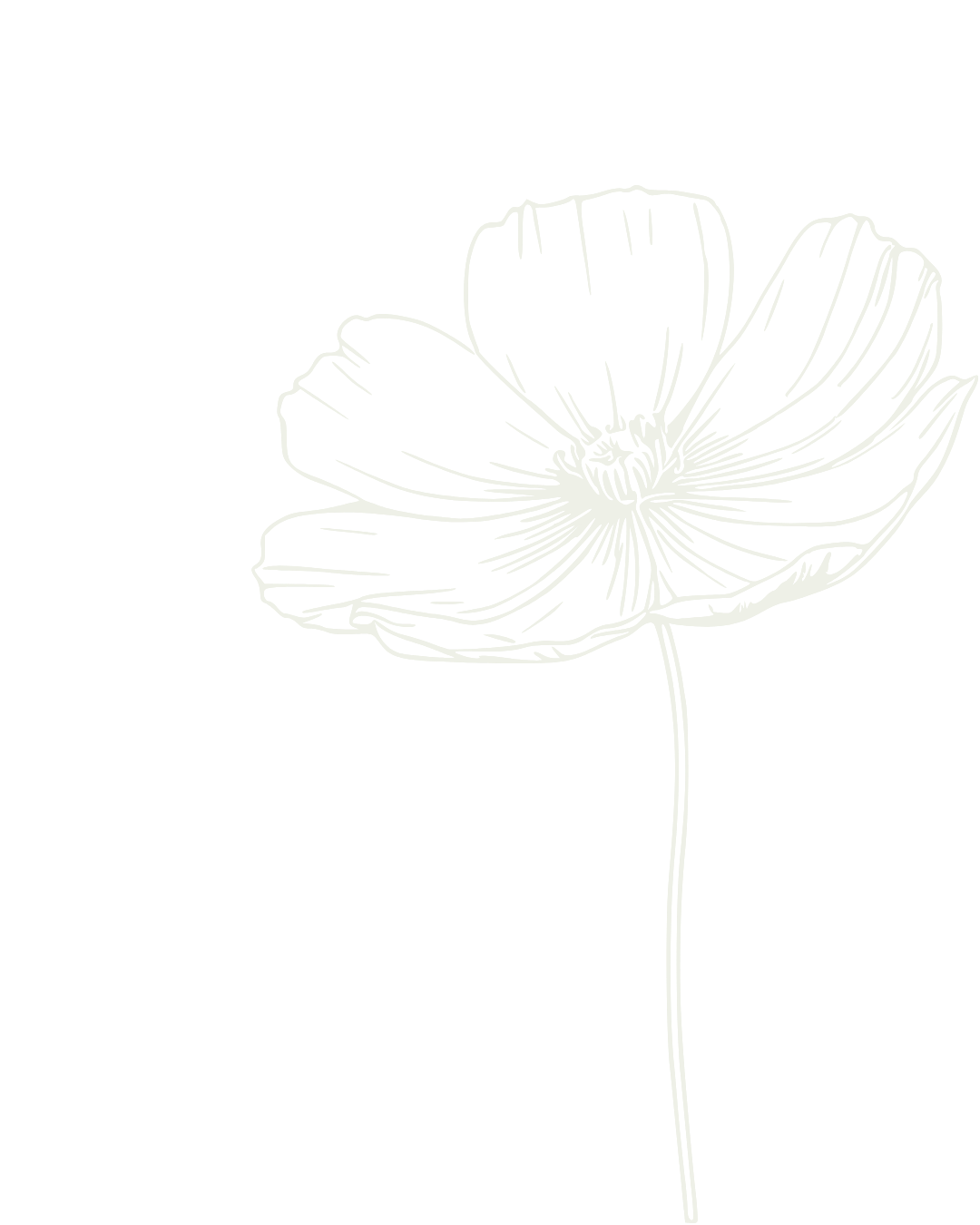 Light green flower