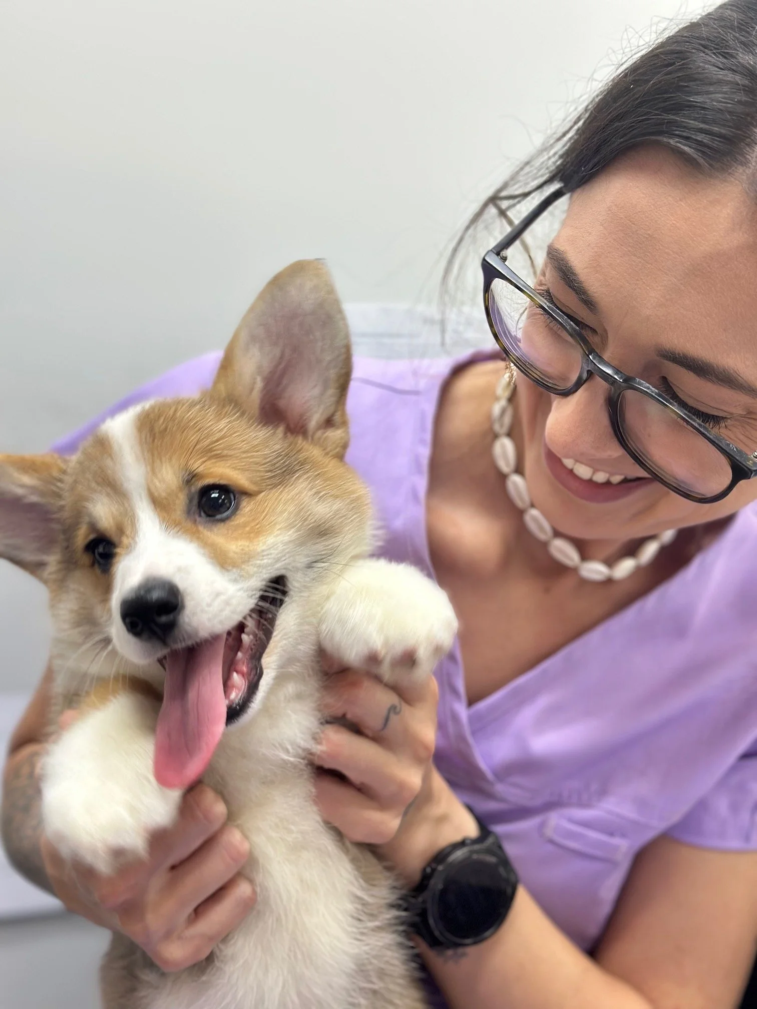 A smiling woman wearing glasses and a purple shirt holds a playful, happy corgi puppy with its tongue out.