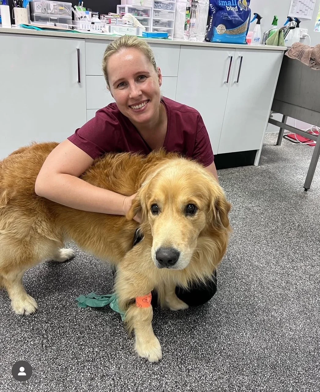 A woman smiling and hugging a golden retriever dog in a veterinary clinic or animal care facility.