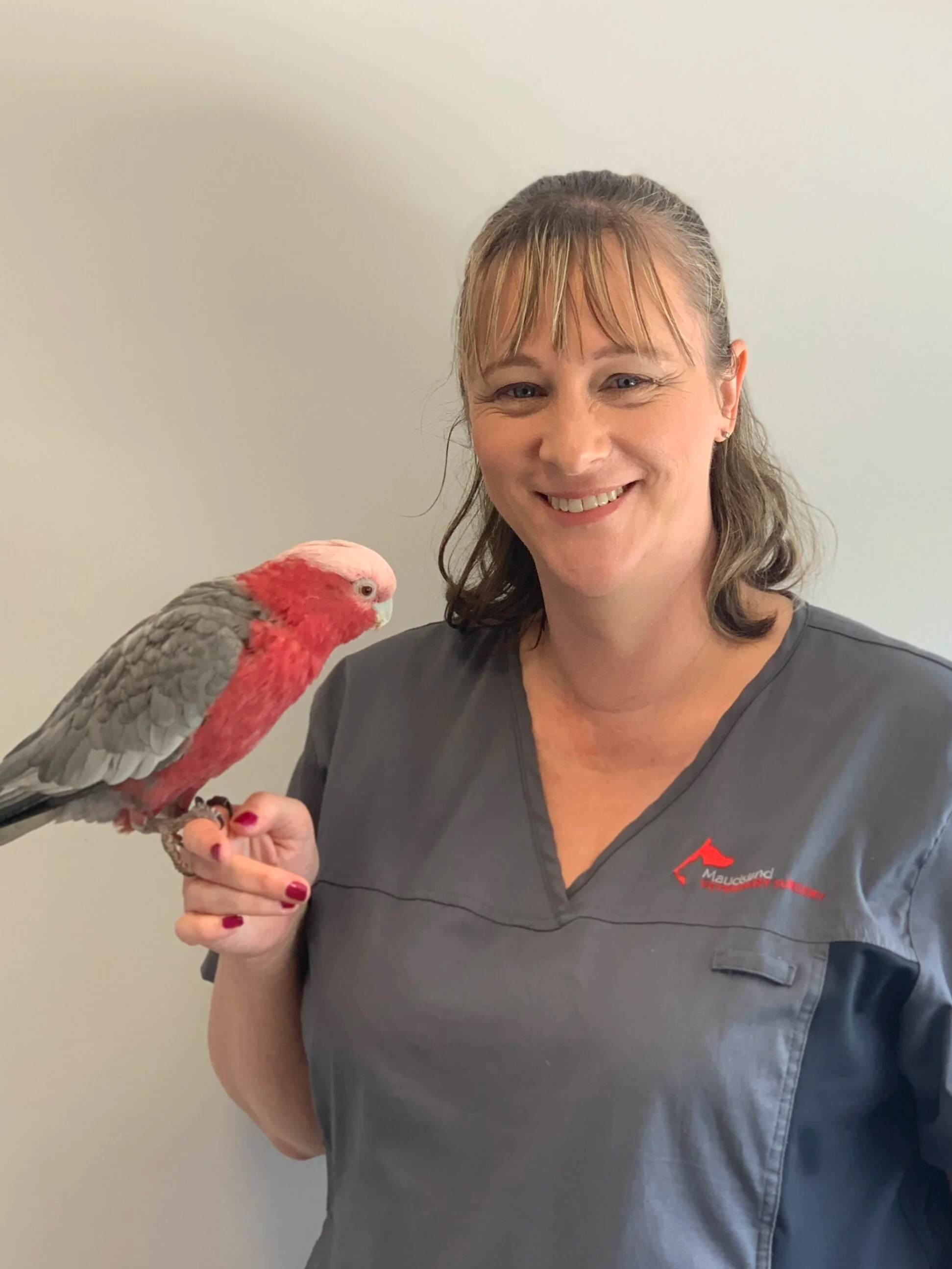 A woman in a gray uniform shirt holding a pink and gray parrot on her finger, standing against a plain light-colored wall.