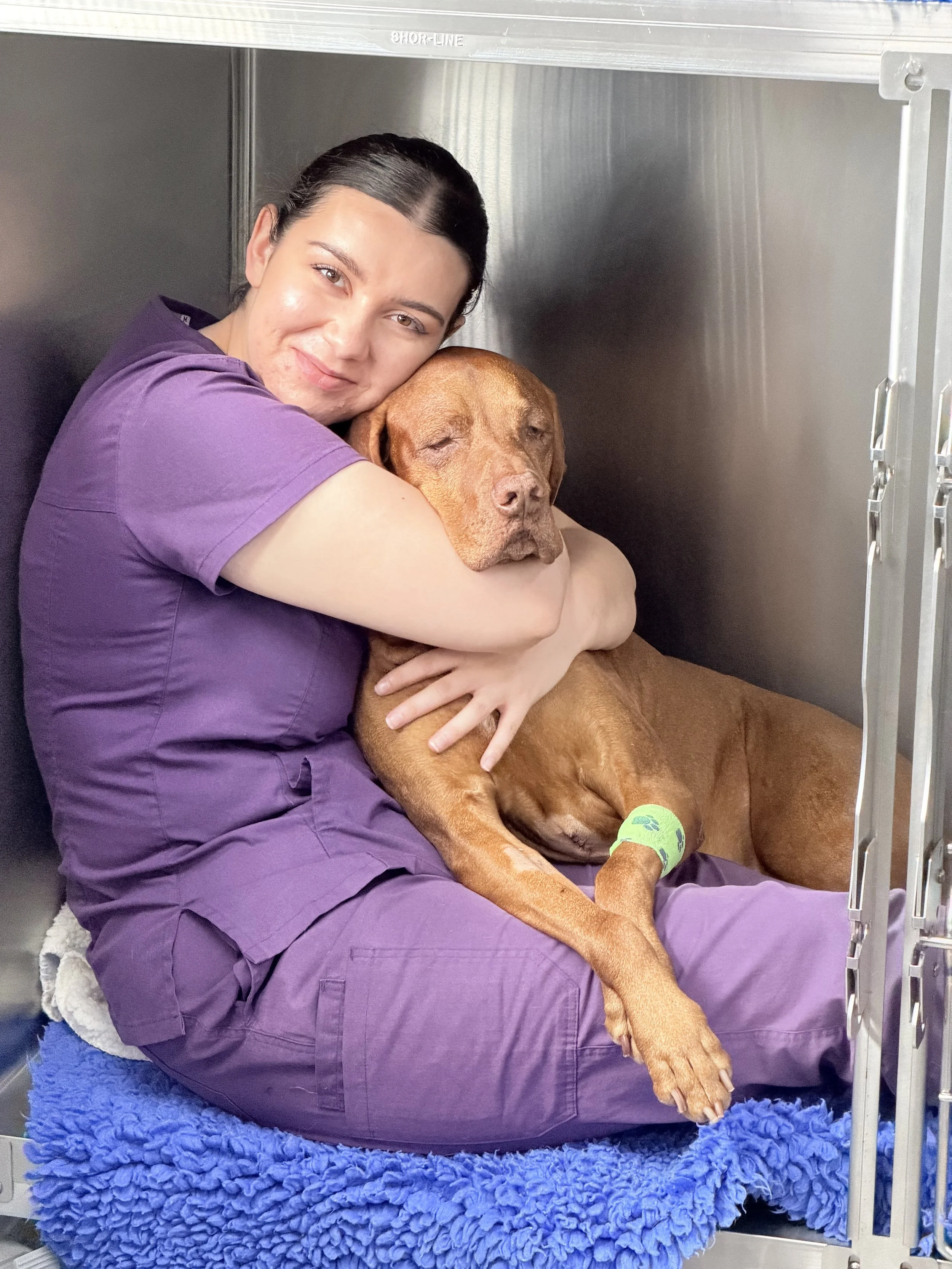 A woman in purple scrubs hugging a sleepy brown dog with a green bandage on its leg inside a veterinary kennel.
