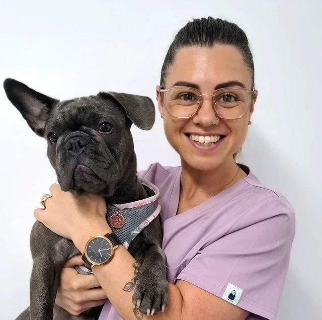 A smiling woman in medical scrubs holding a gray French Bulldog against a white background.