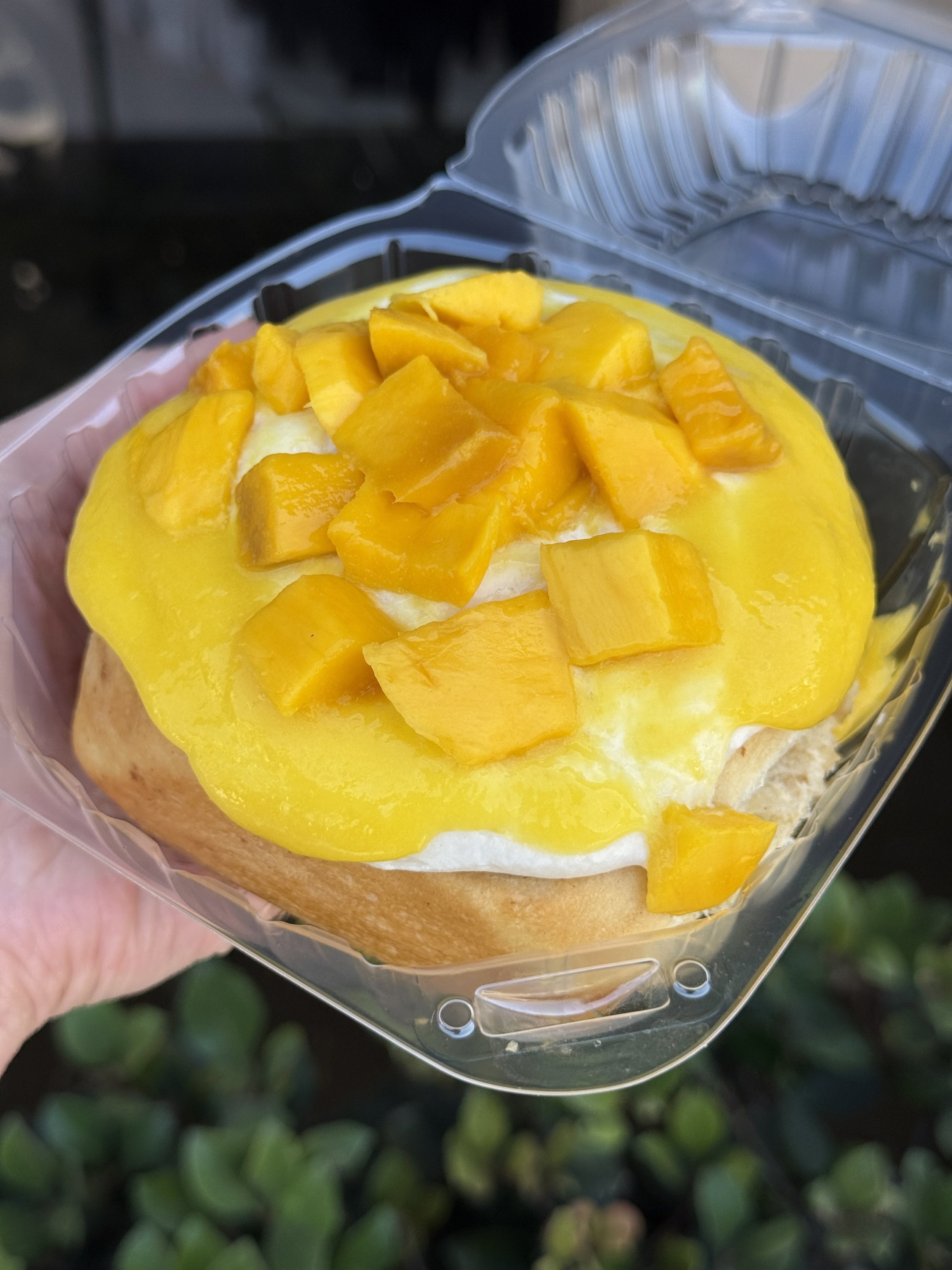 MANGO CINNAMON ROLL