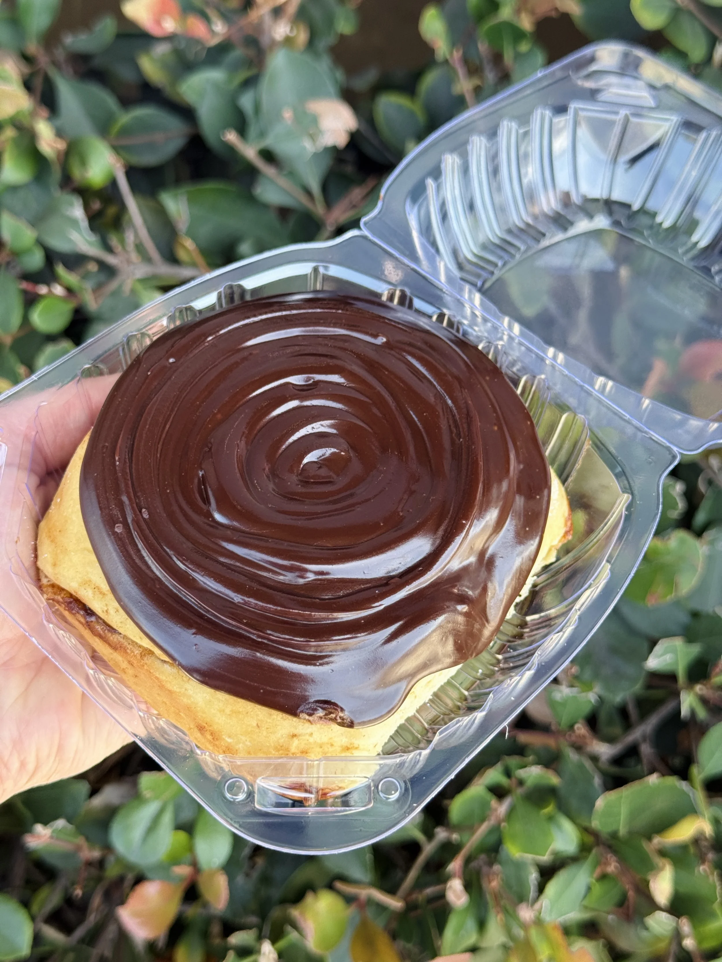 BOSTON CREAM PIE CINNAMON ROLL