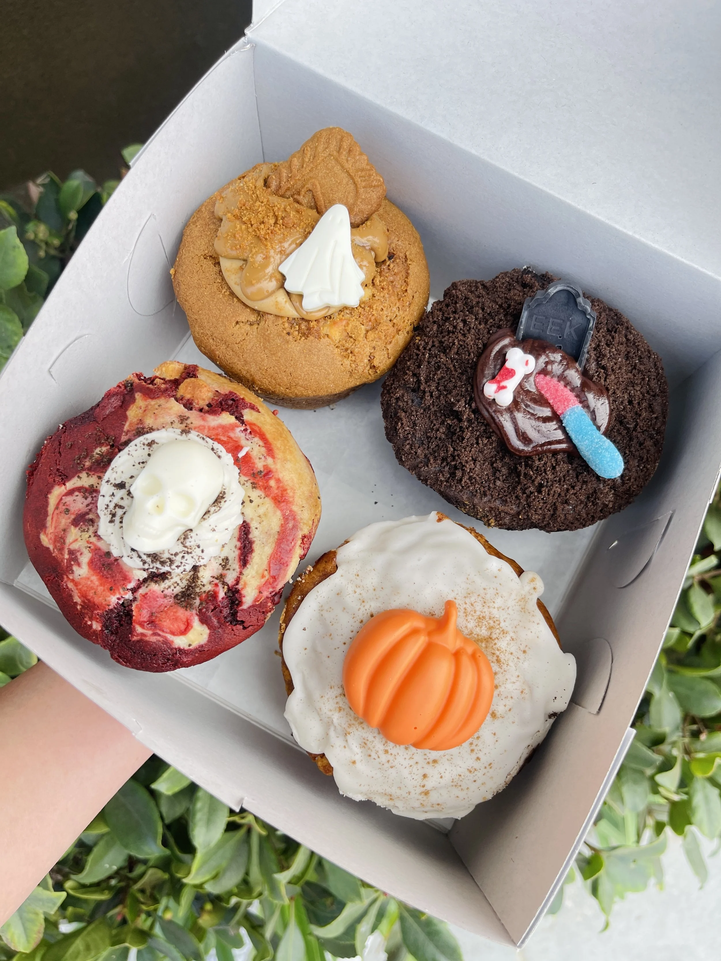 4-PACK GOURMET MUFFINS