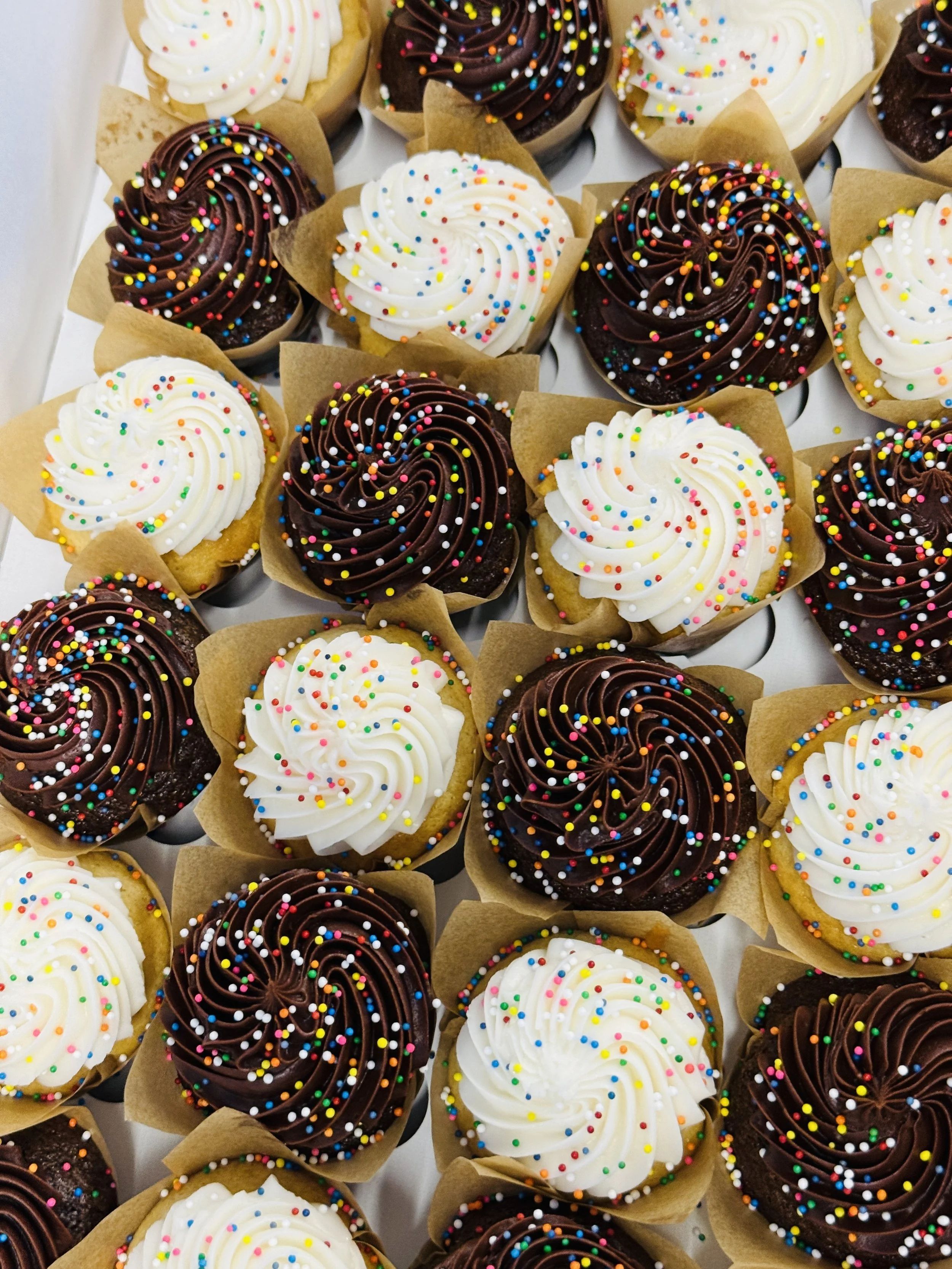 MINI CUPCAKES (2 DZN)