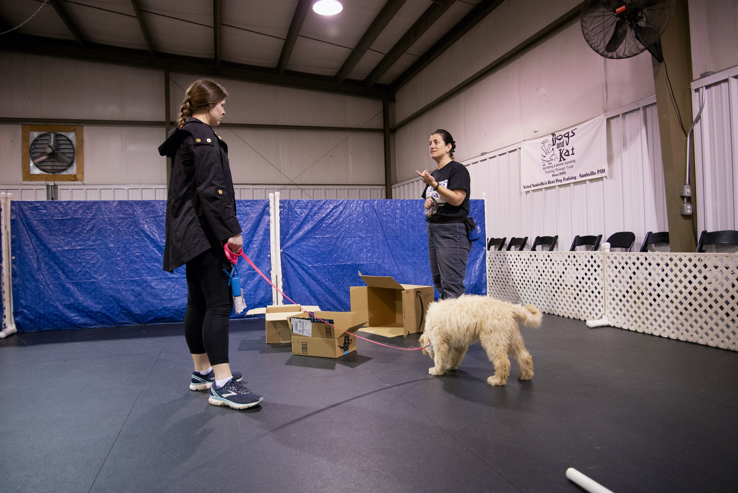 Private Dog Training in Nashville — Dogs and Kat