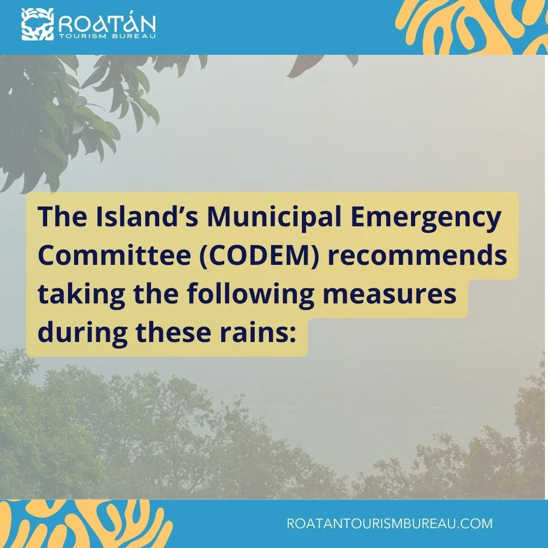 Stay Safe During Rains! 🌧️

CODEM recommends taking precautions to protect yourself and your loved ones:

1️⃣ Prepare: Stock up on water, food, and emergency supplies. Keep flashlights and batteries ready.
2️⃣ Protect your home: Reinforce doors, win